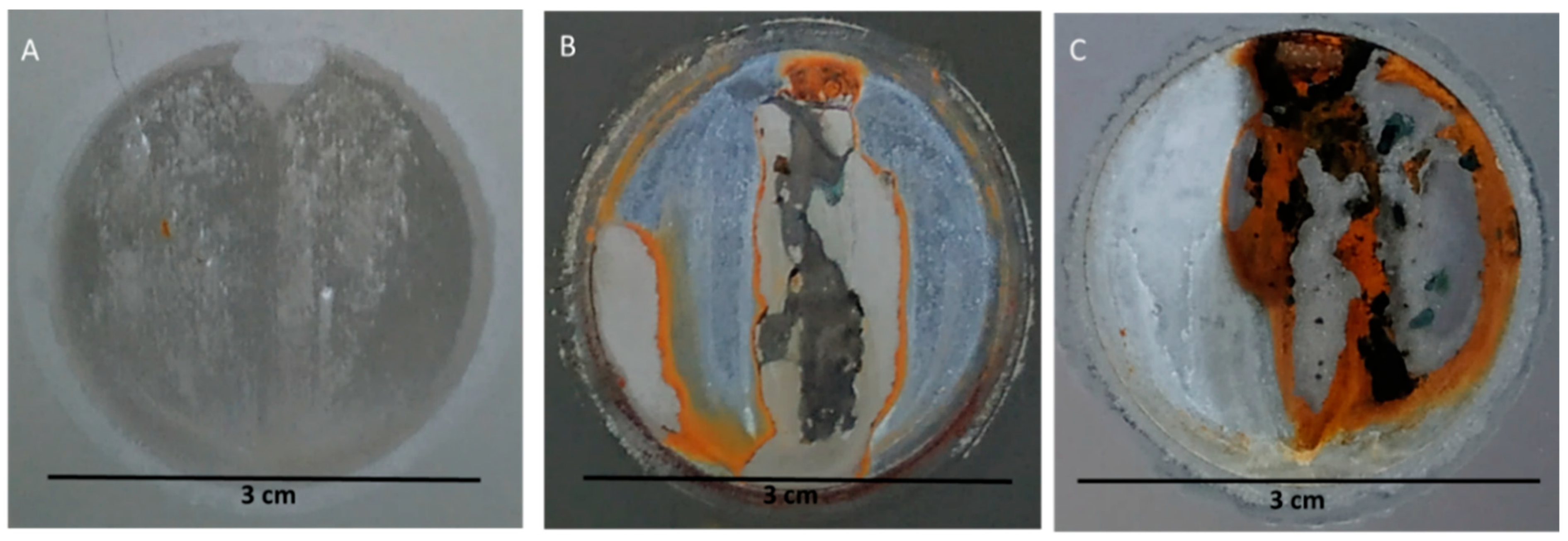 Coatings 12 01390 g007