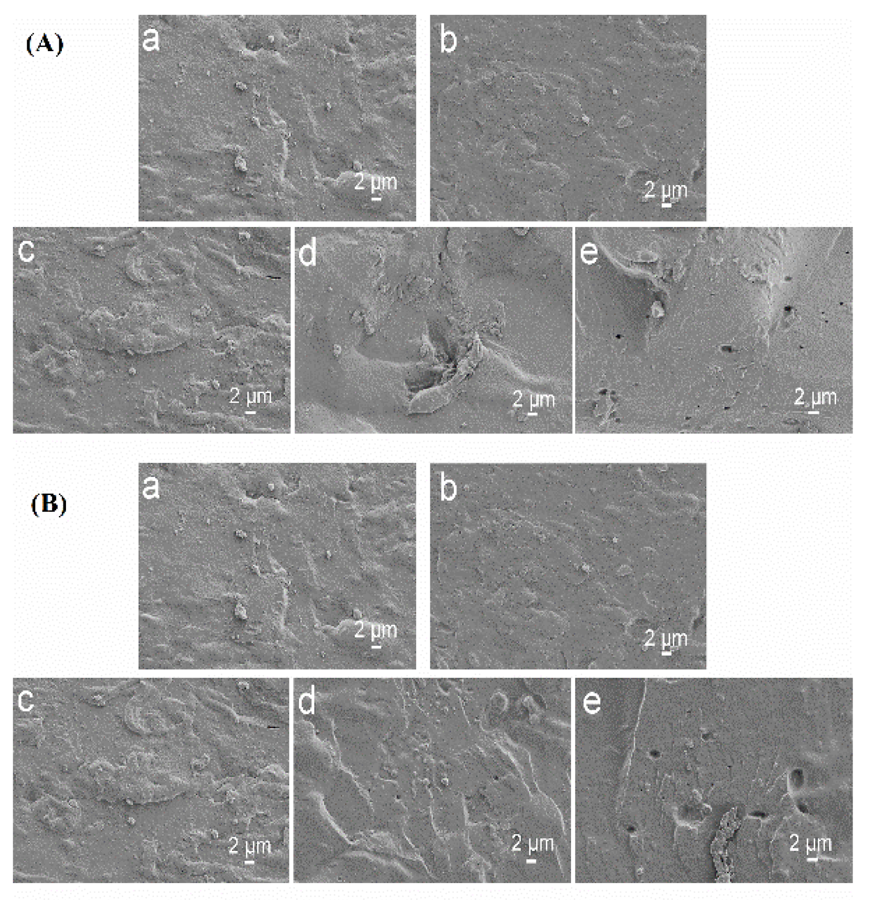 Coatings 12 01392 g001 Coatings 12 01392 g001