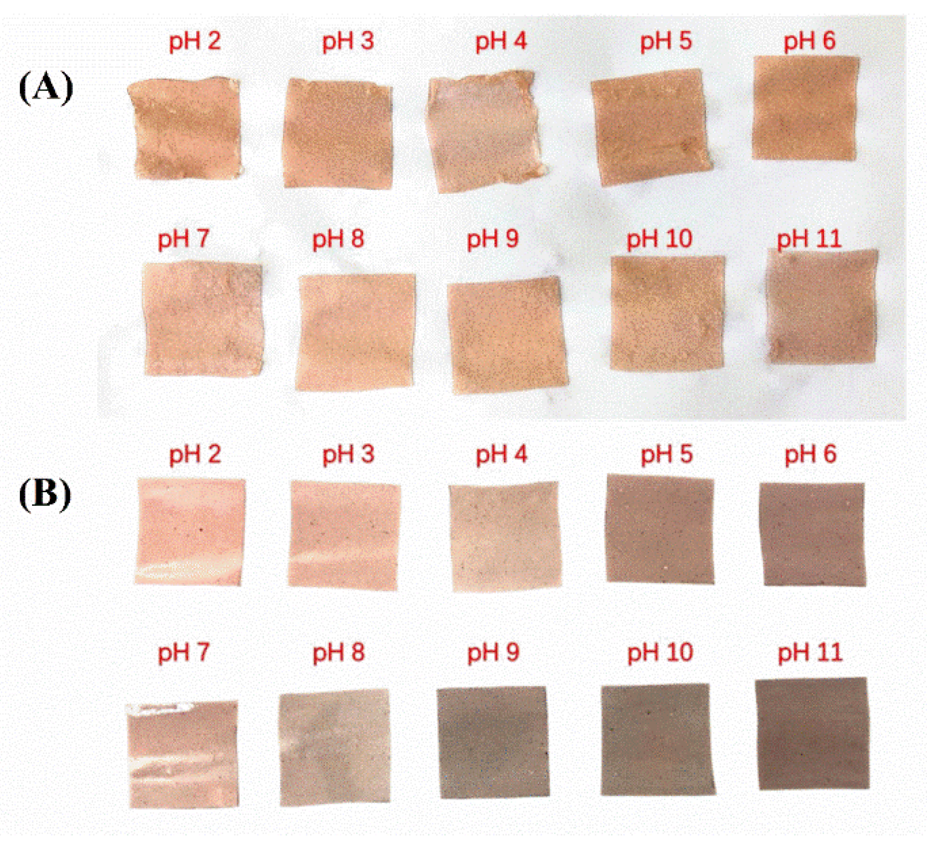 Coatings 12 01392 g010 Coatings 12 01392 g010