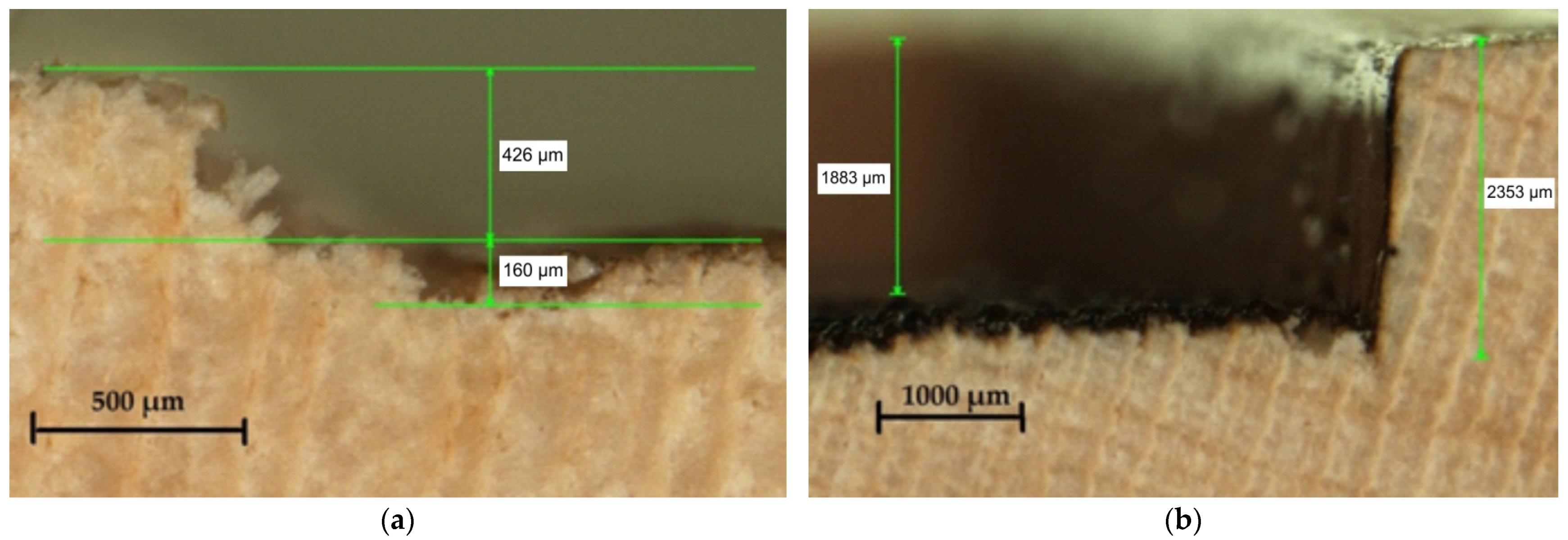 Coatings 12 01393 g014 550
