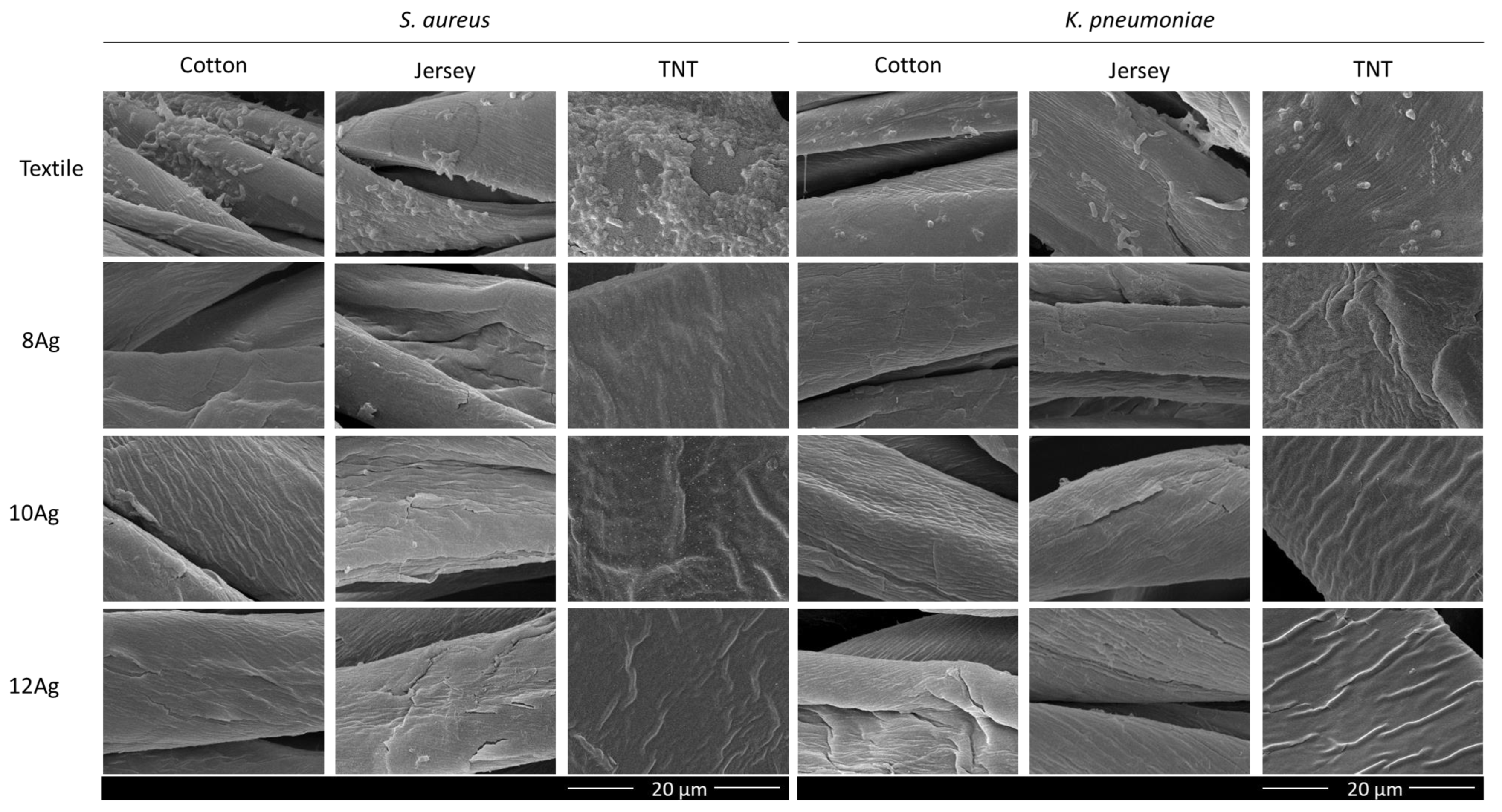 Coatings 12 01399 g004 Coatings 12 01399 g004