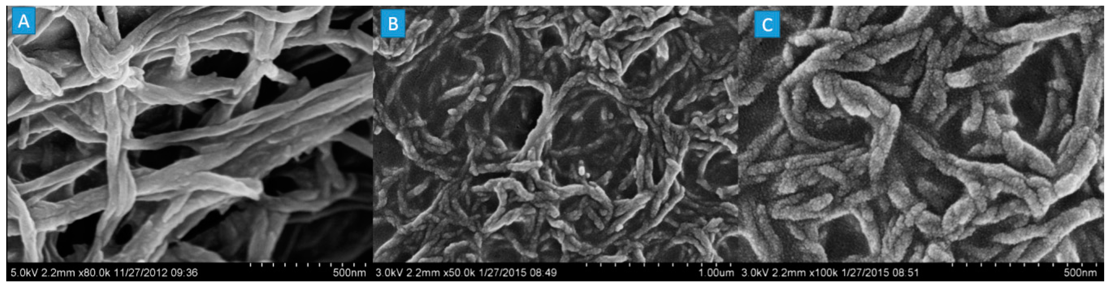 Coatings 12 01401 g003 550