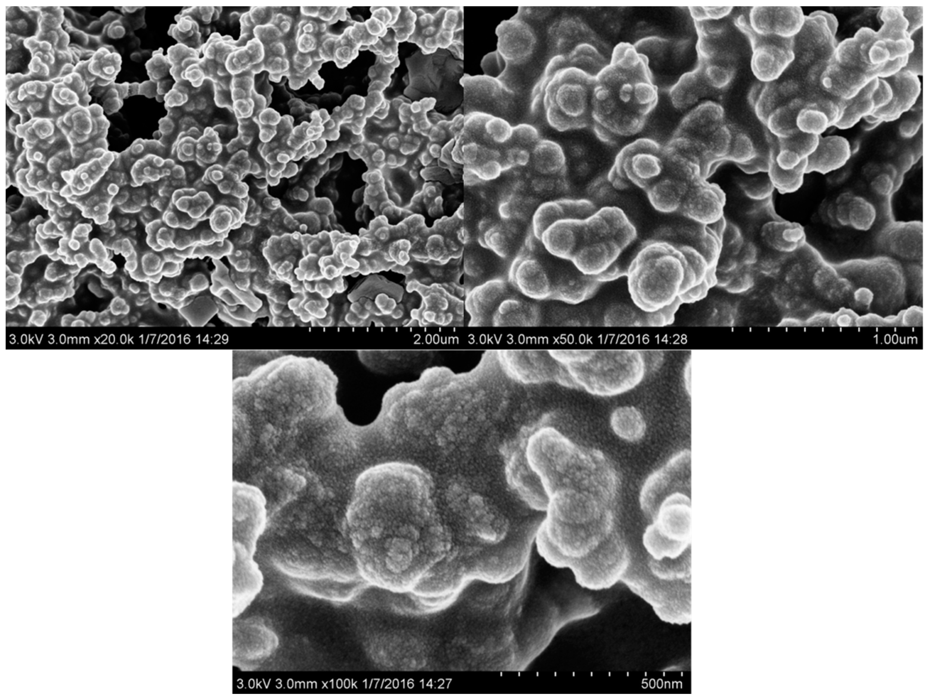 Coatings 12 01401 g004 550