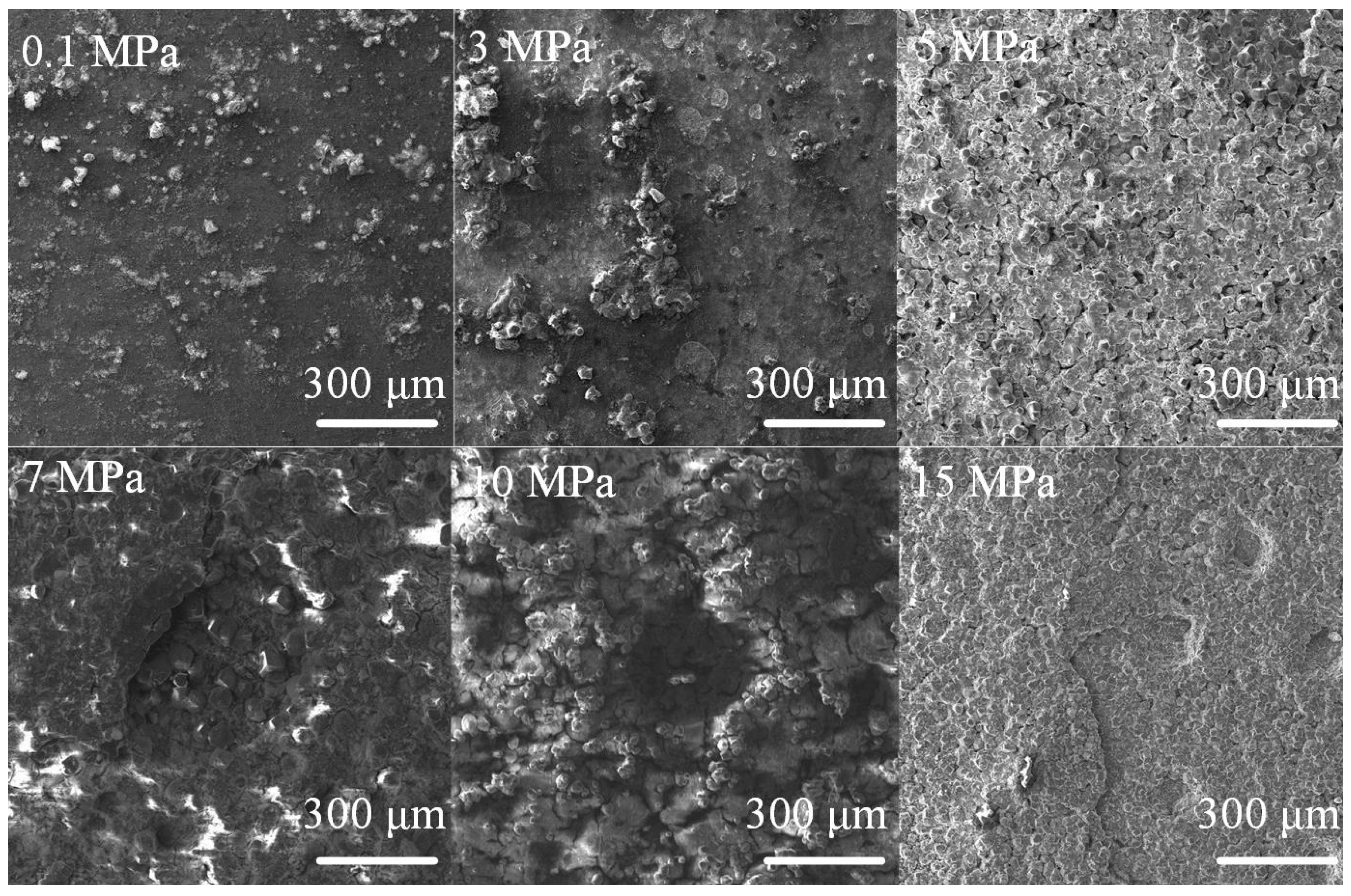 Coatings 12 01402 g007 550