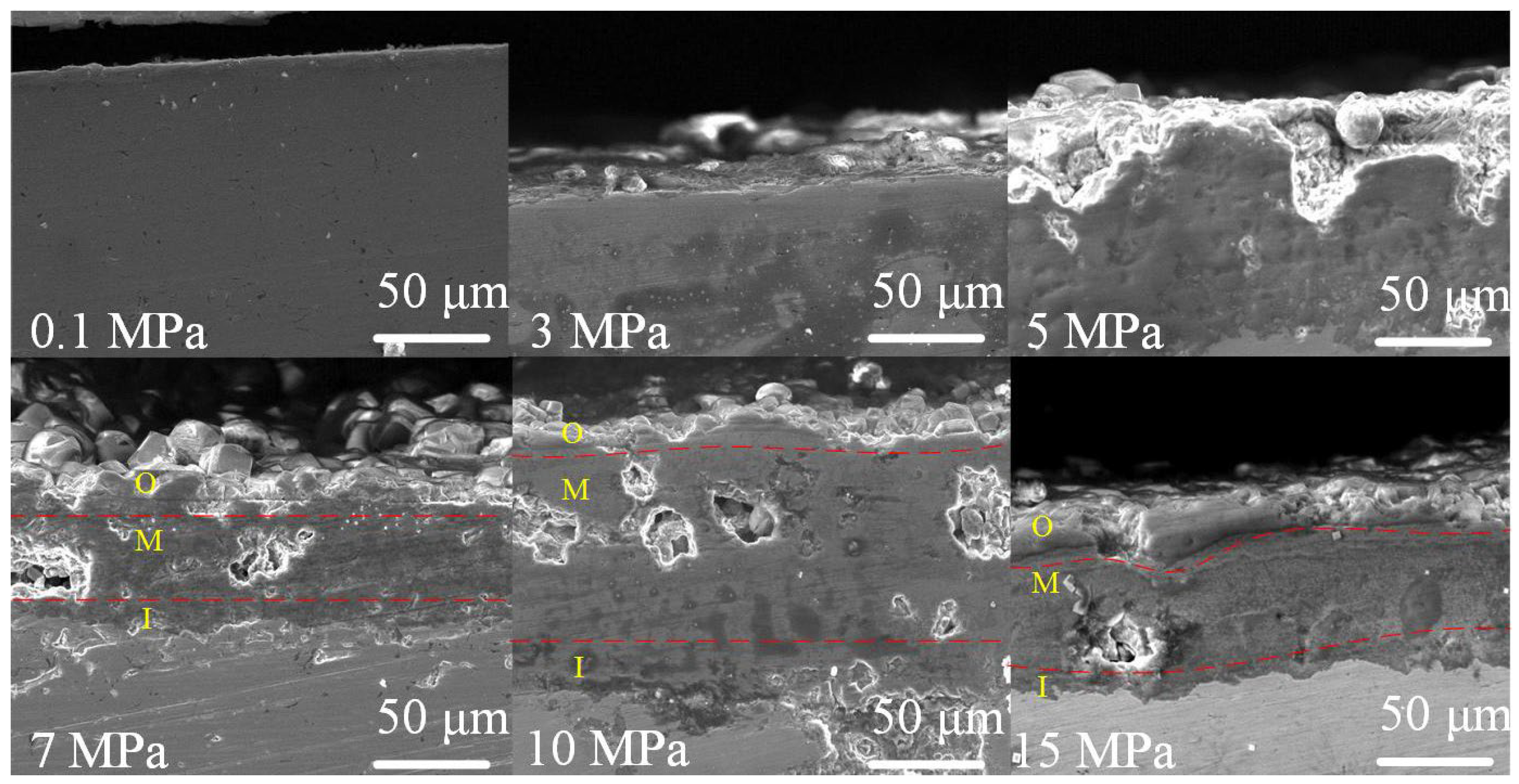 Coatings 12 01402 g008 550