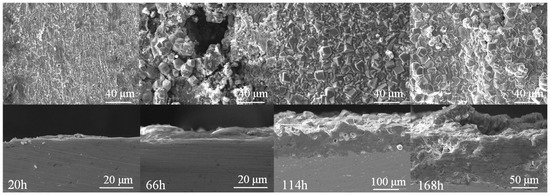 Corrosion Behavior of J55 and N80 Carbon Steels in Simulated Formation ...