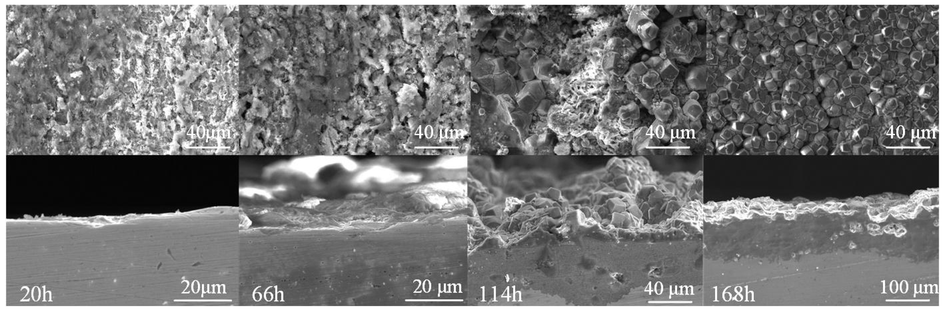 Coatings 12 01402 g011 550