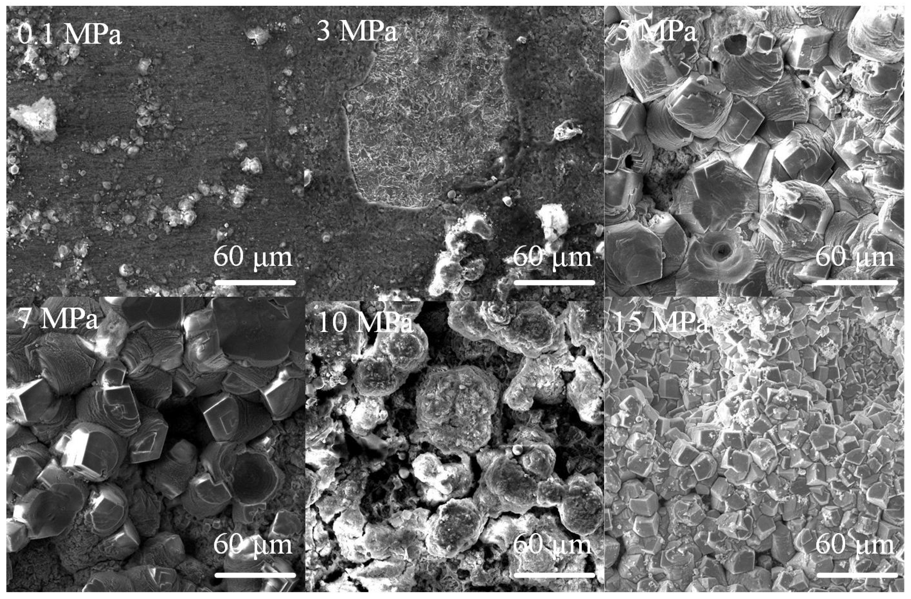 Coatings 12 01402 g013 550
