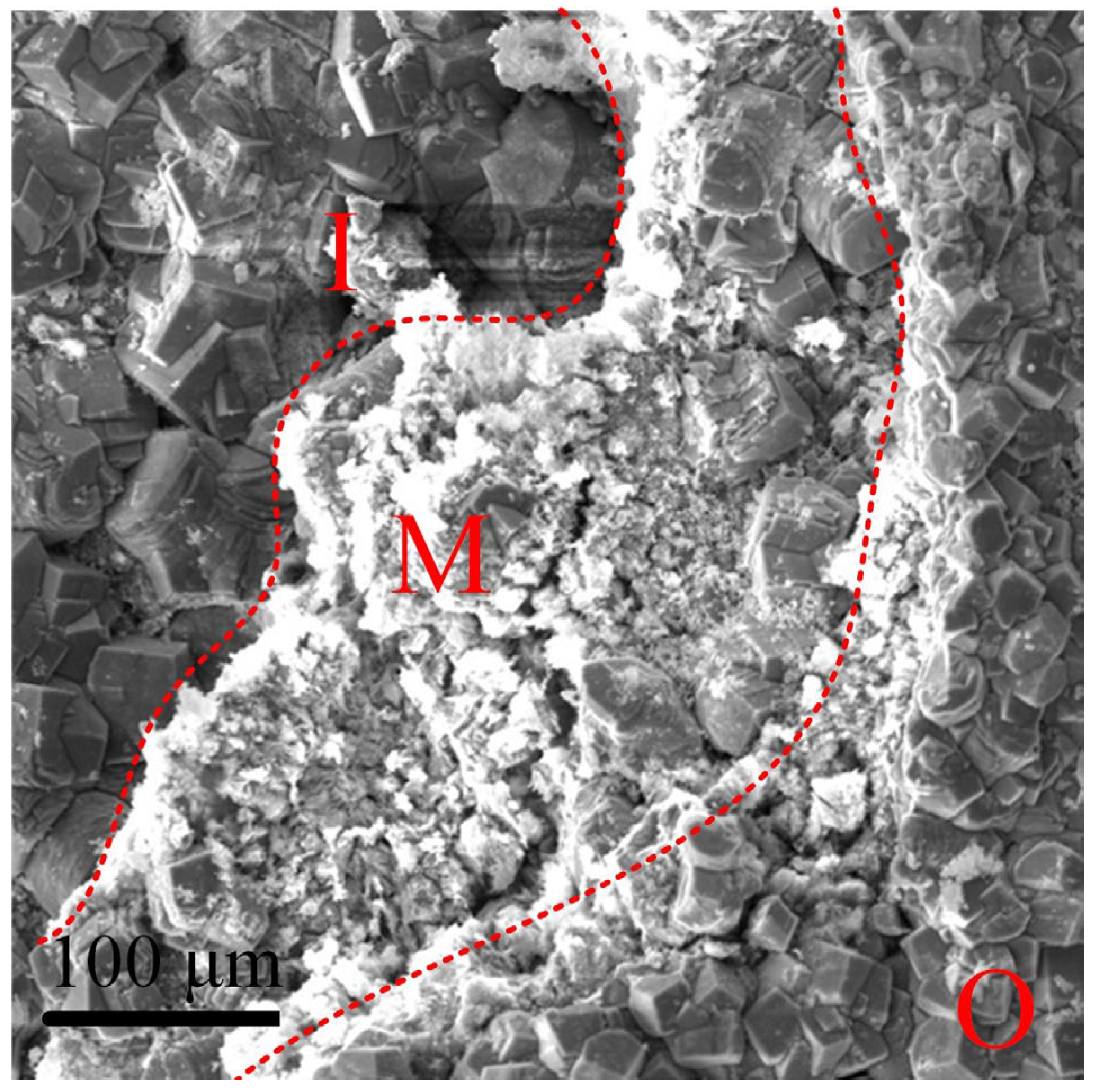 Coatings 12 01402 g016 550