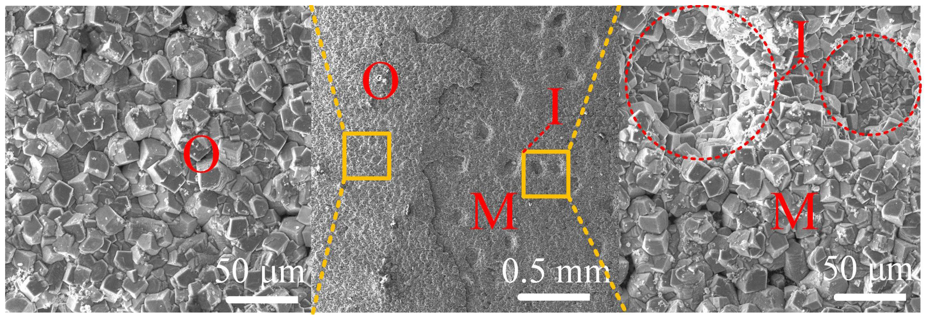 Coatings 12 01402 g017 550