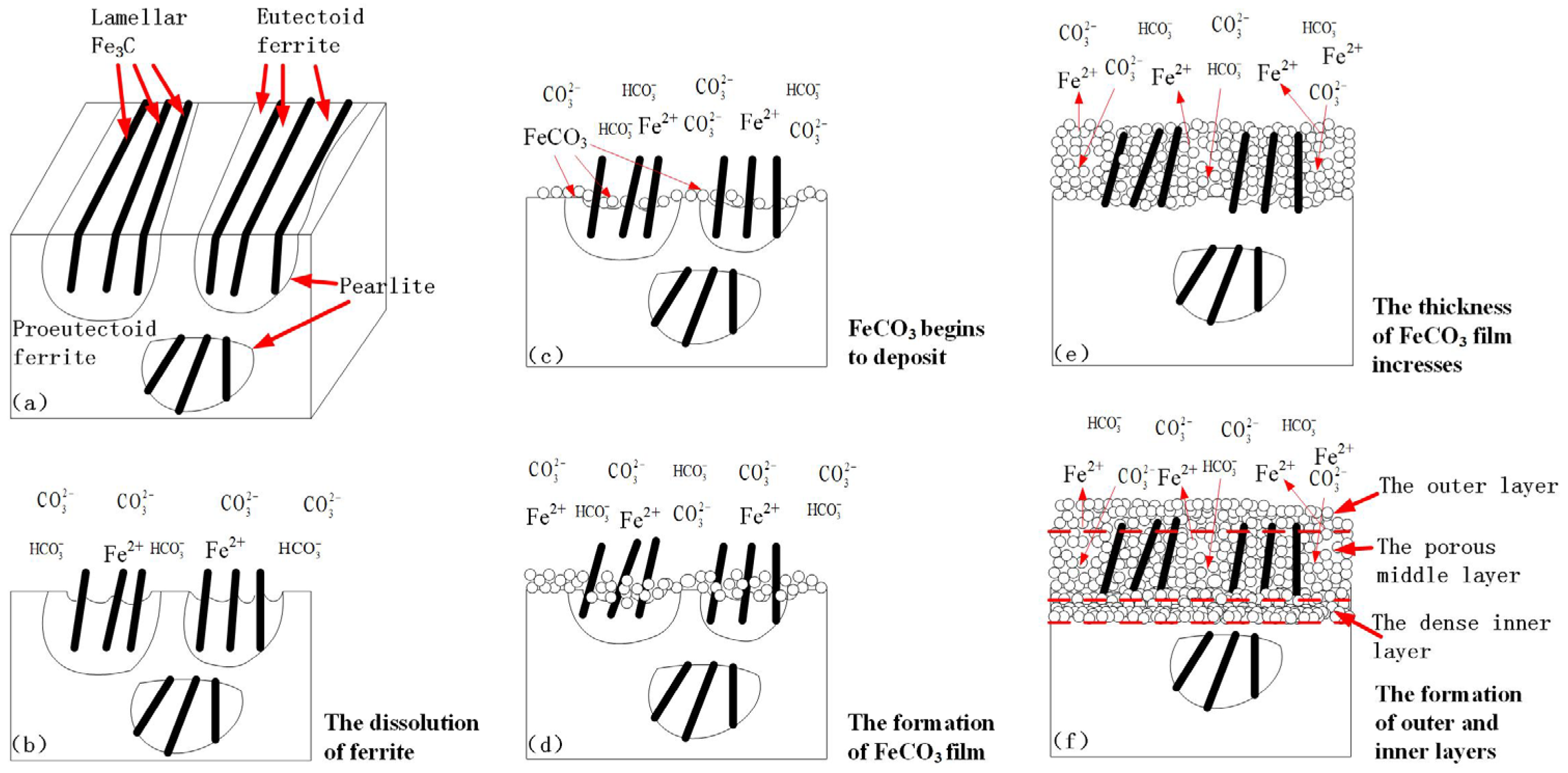 Coatings 12 01402 g018 550