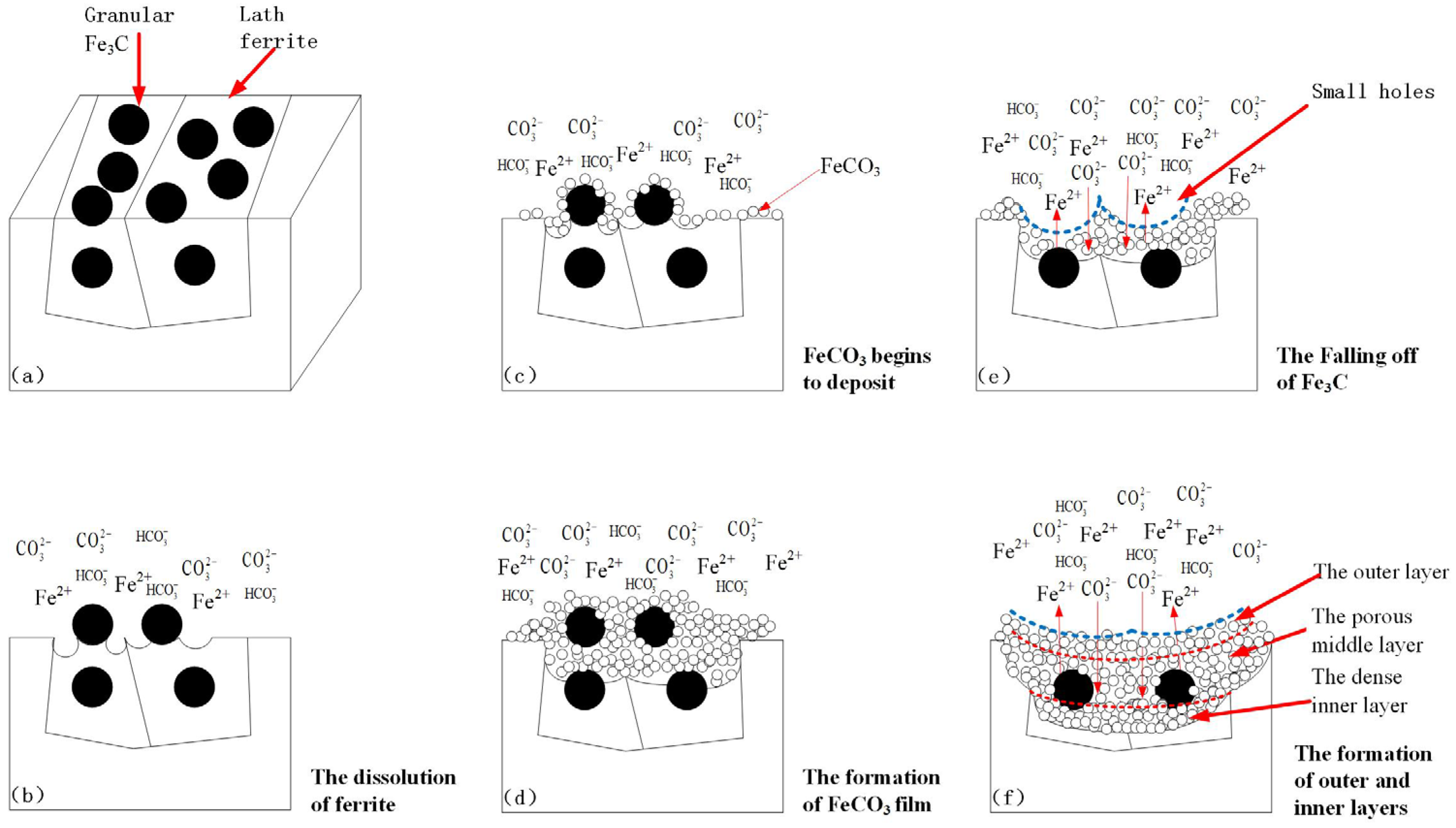 Coatings 12 01402 g019 550