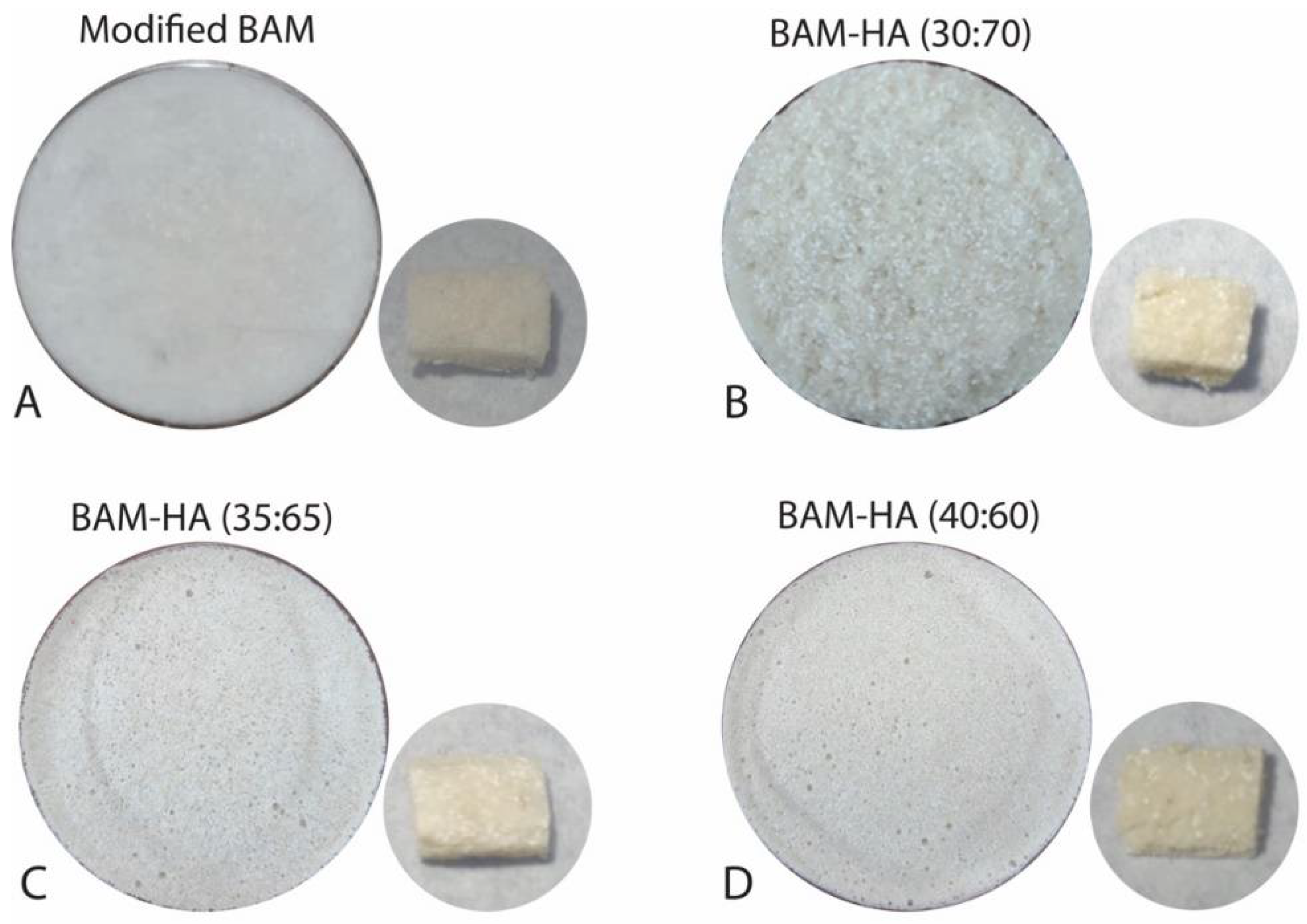 Coatings 12 01403 g001
