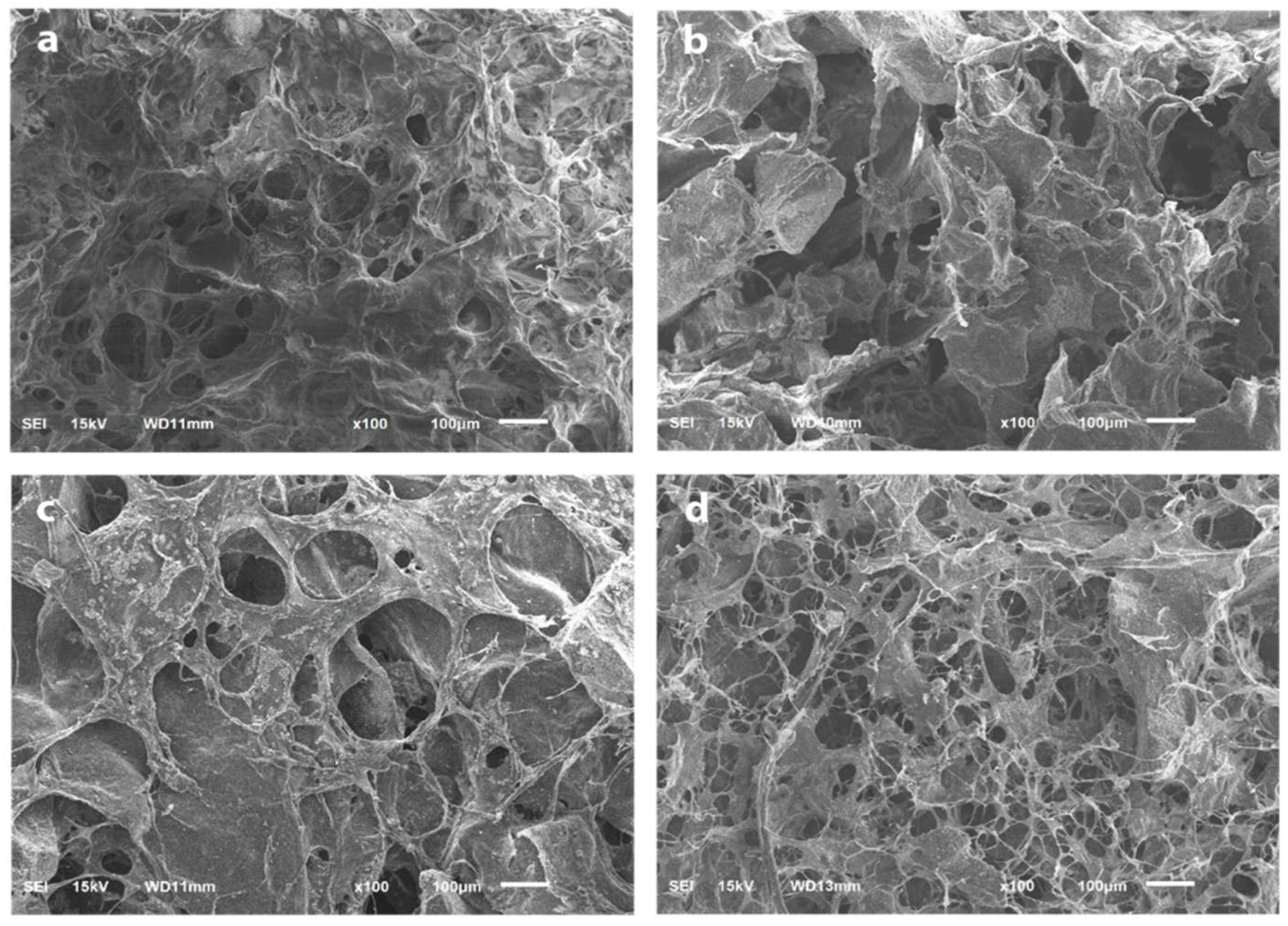 Coatings 12 01403 g004