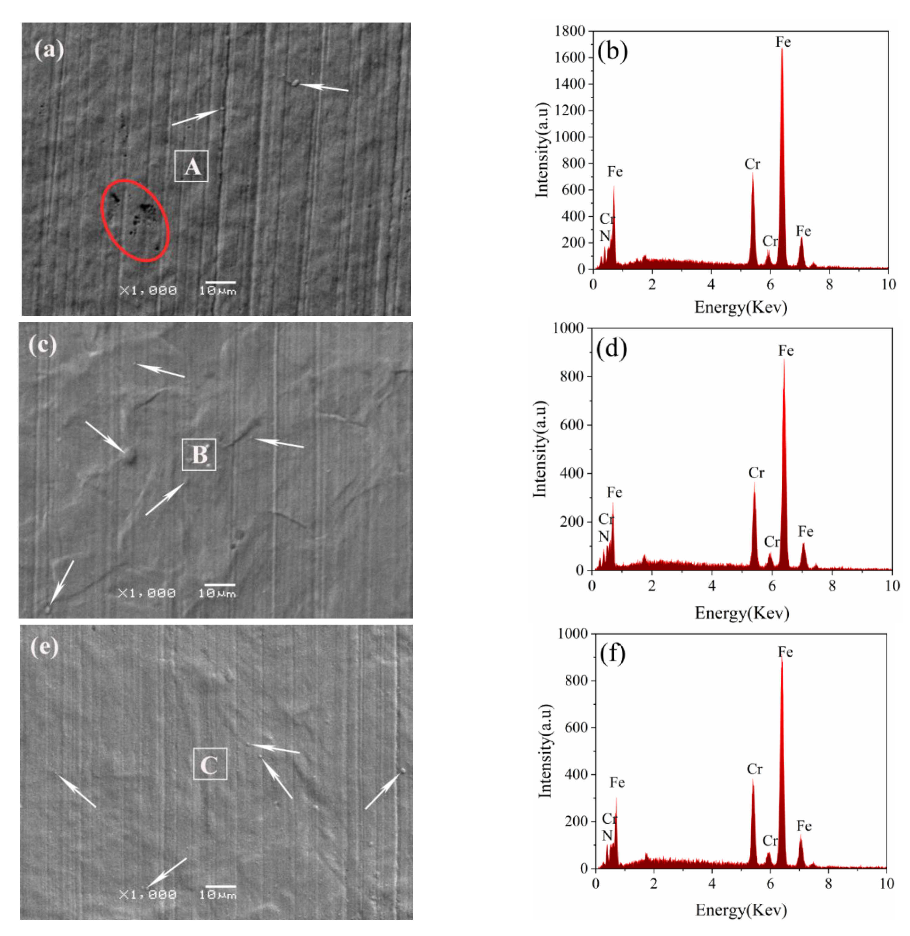 Coatings 12 01404 g003 550