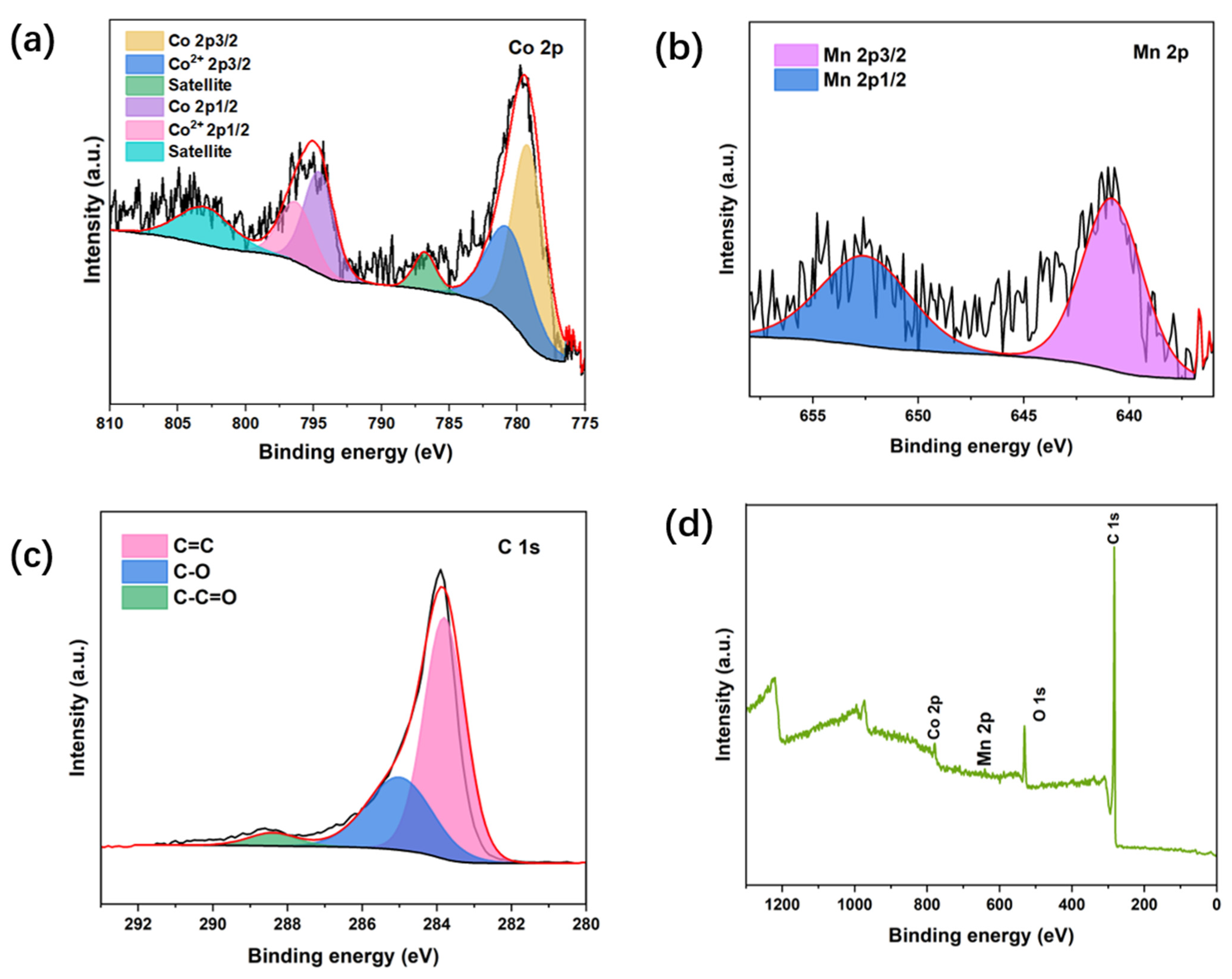 Coatings 12 01405 g004 550