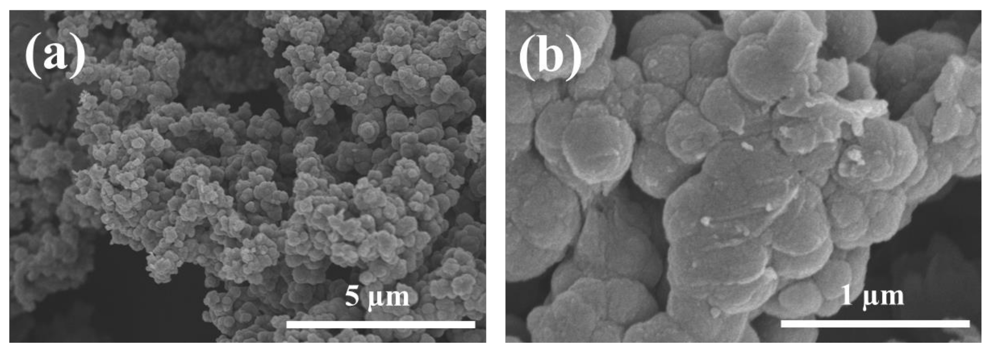 Coatings 12 01406 g001 550