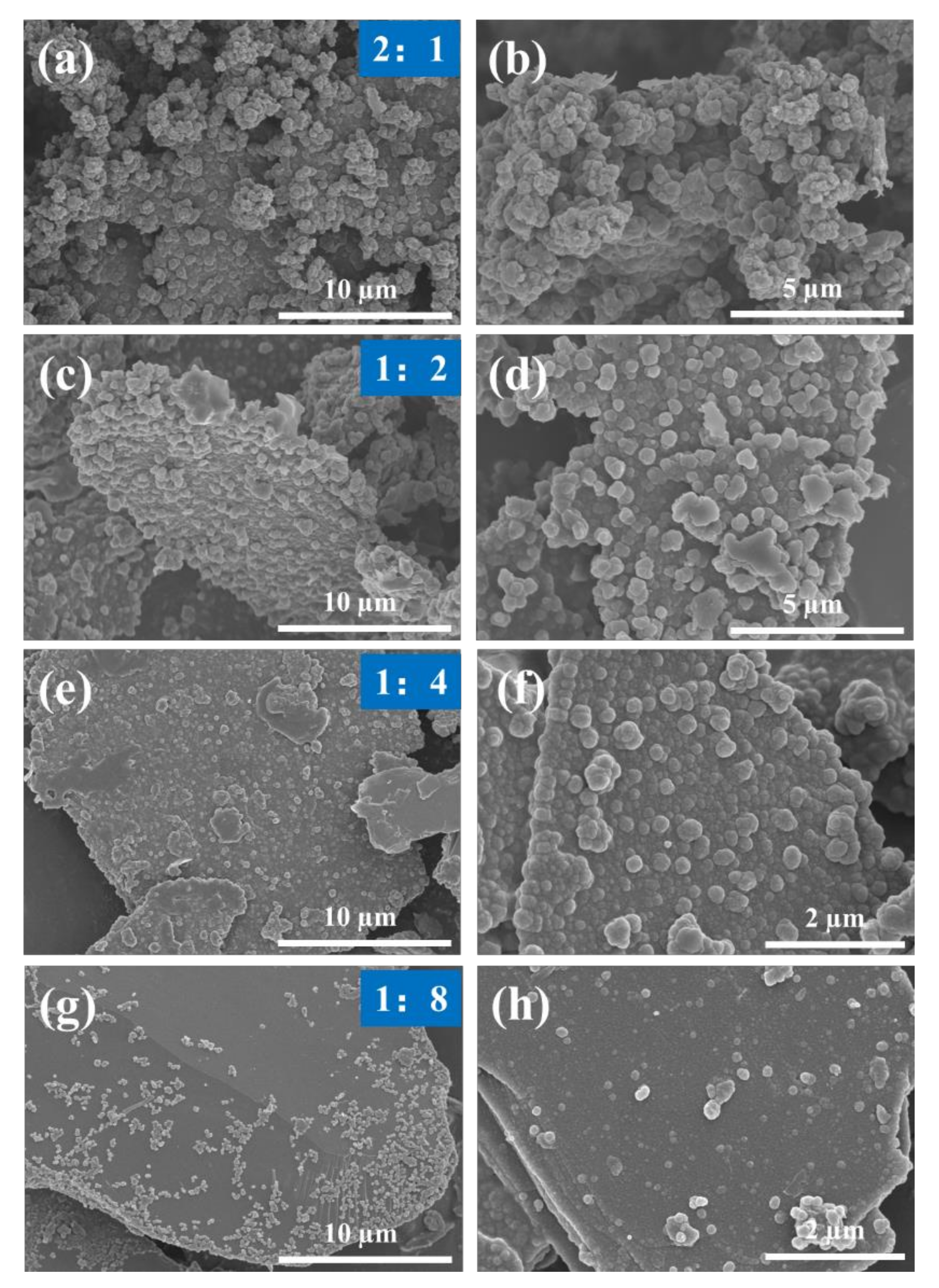 Coatings 12 01406 g002 550