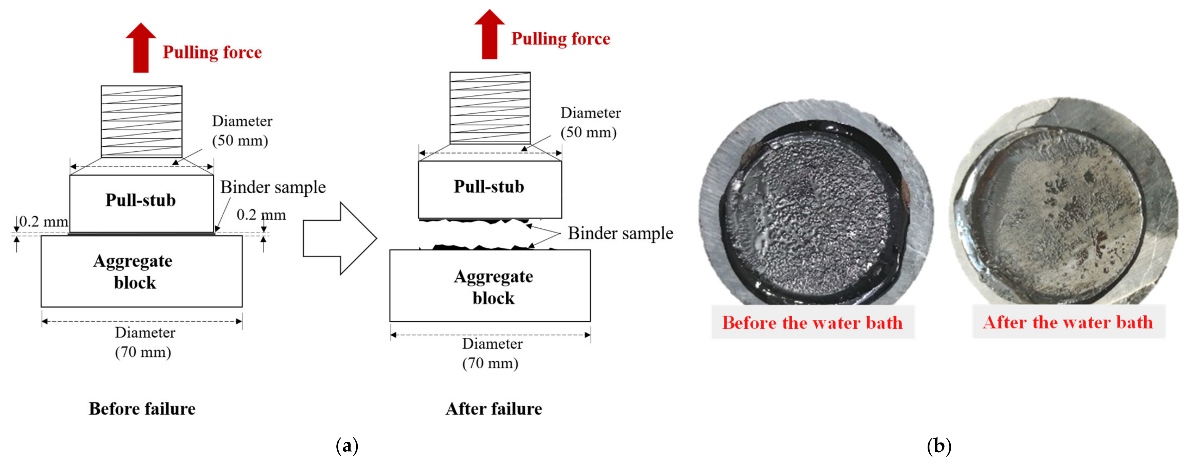 Coatings 12 01413 g005