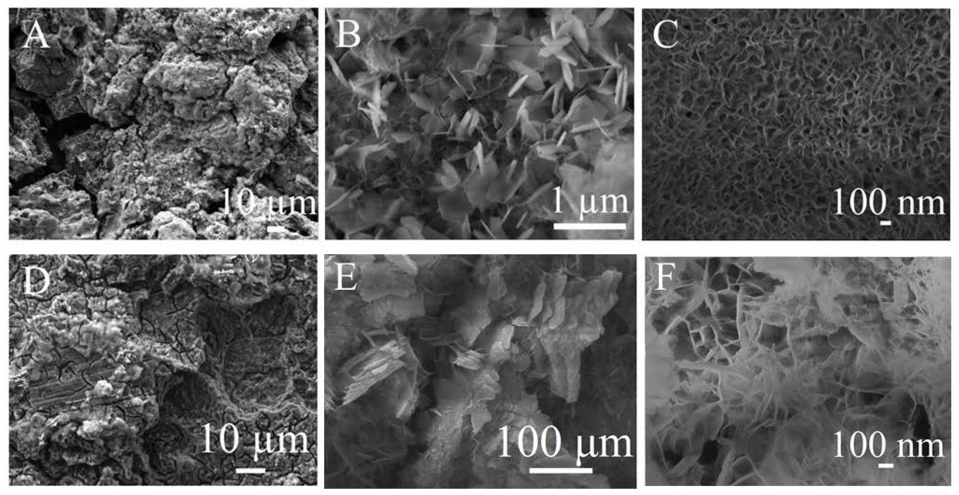 Coatings 12 01414 g002