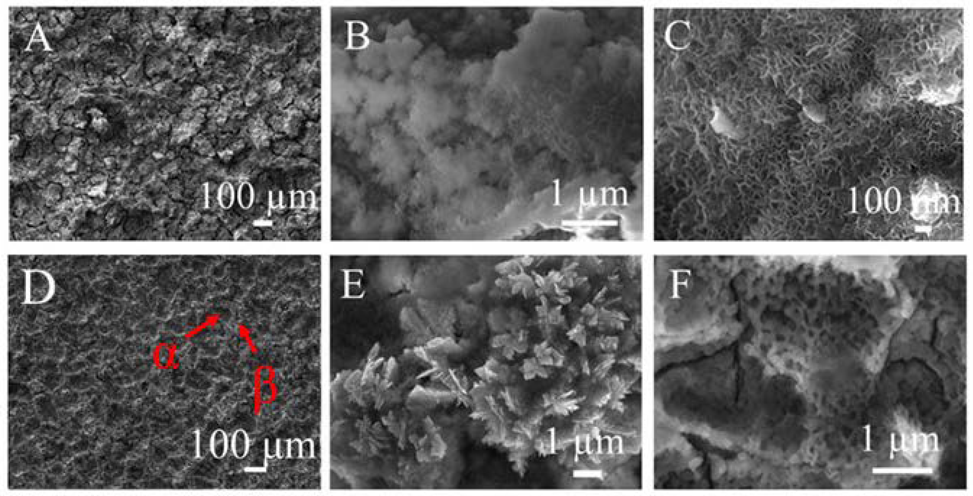 Coatings 12 01414 g004