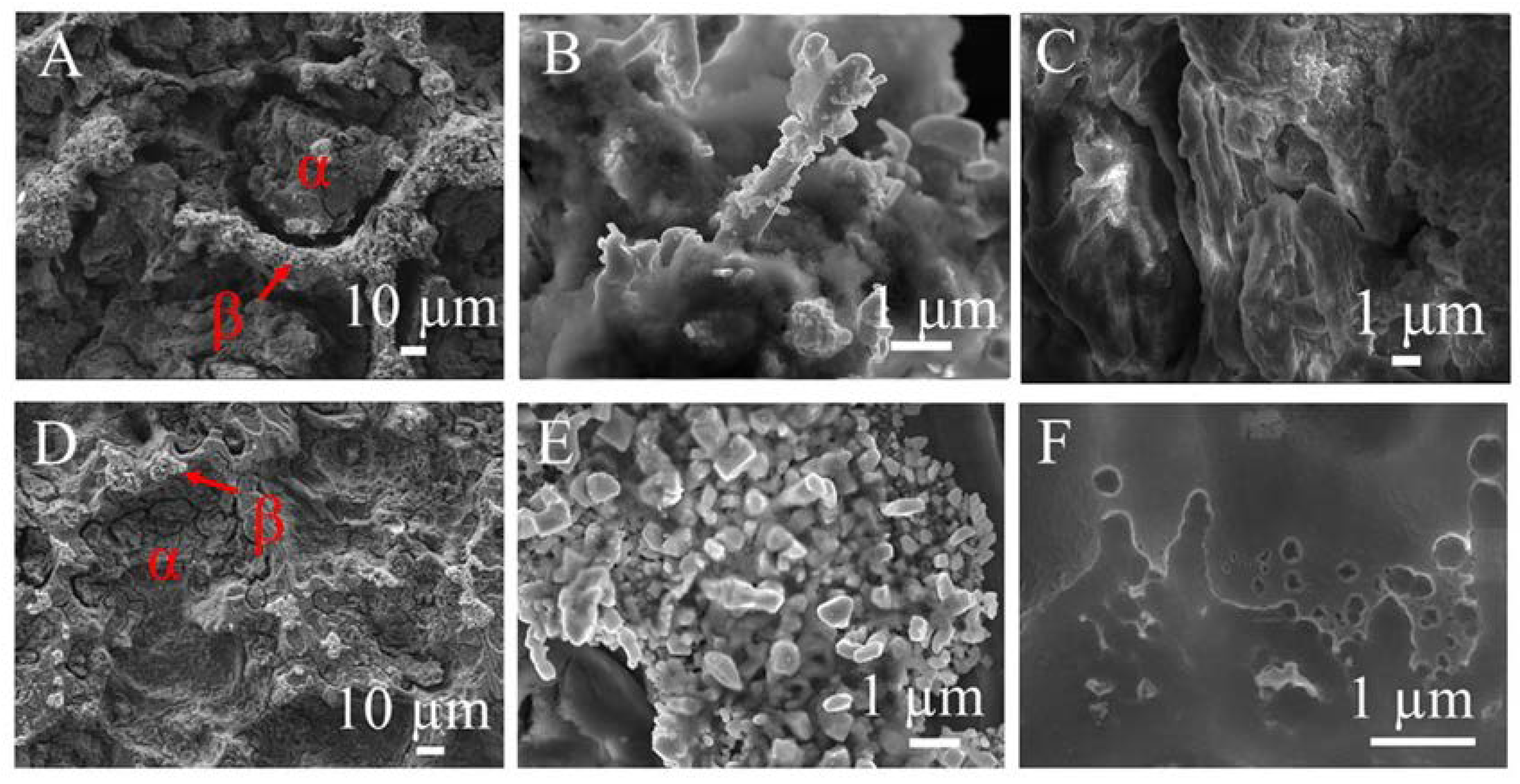 Coatings 12 01414 g005