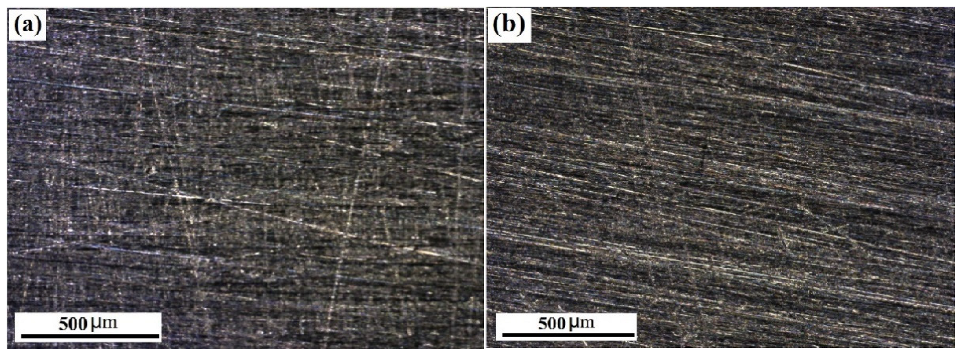 Coatings 12 01415 g007 550