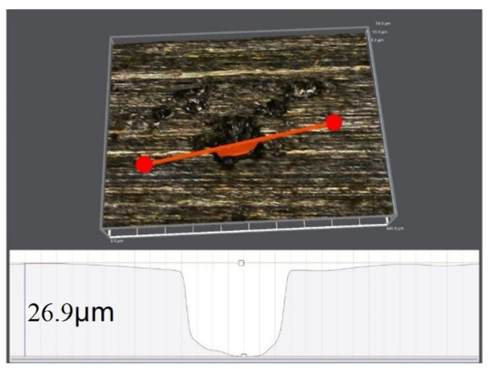 Coatings 12 01415 g008 550