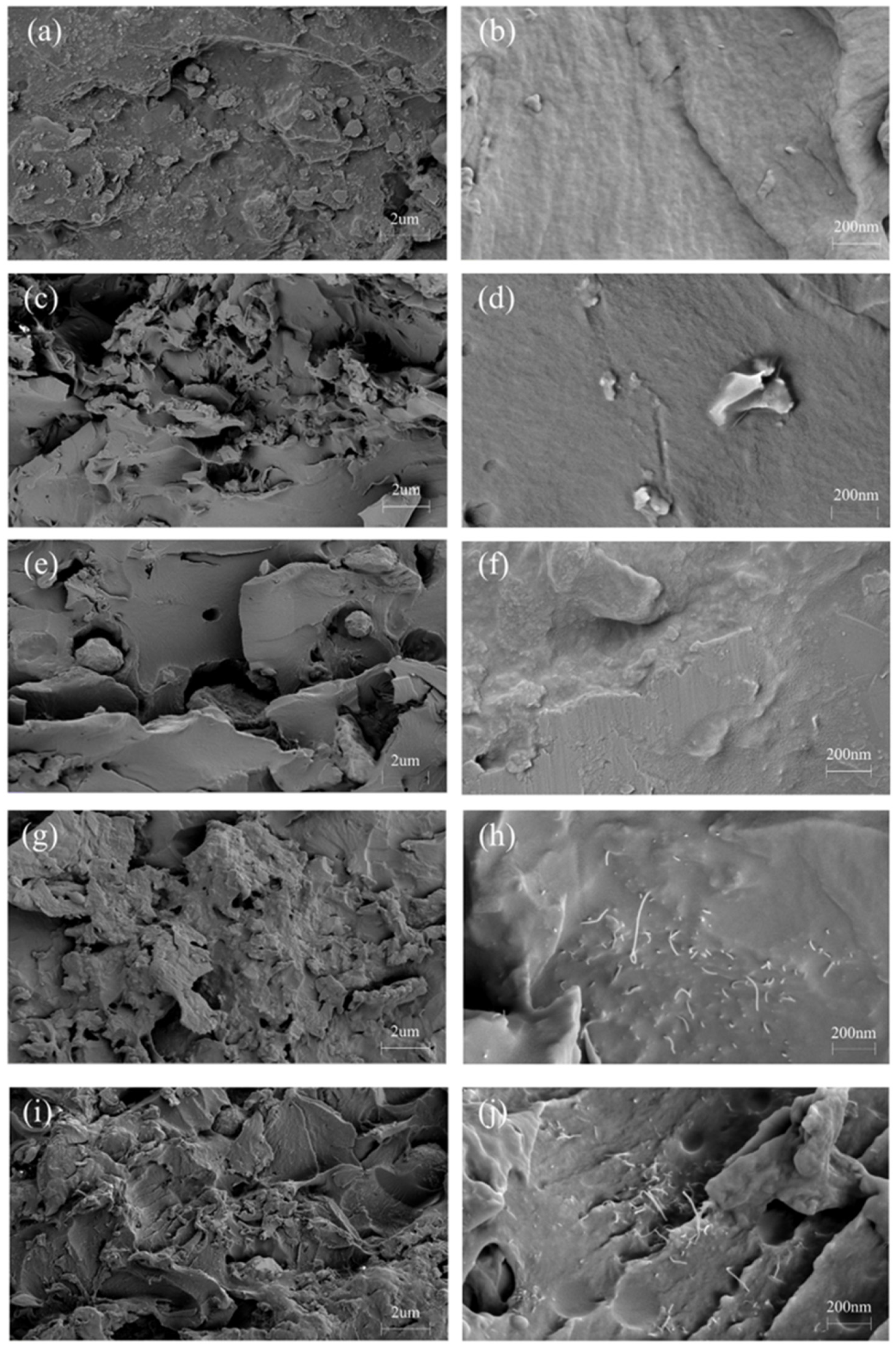 Coatings 12 01418 g005