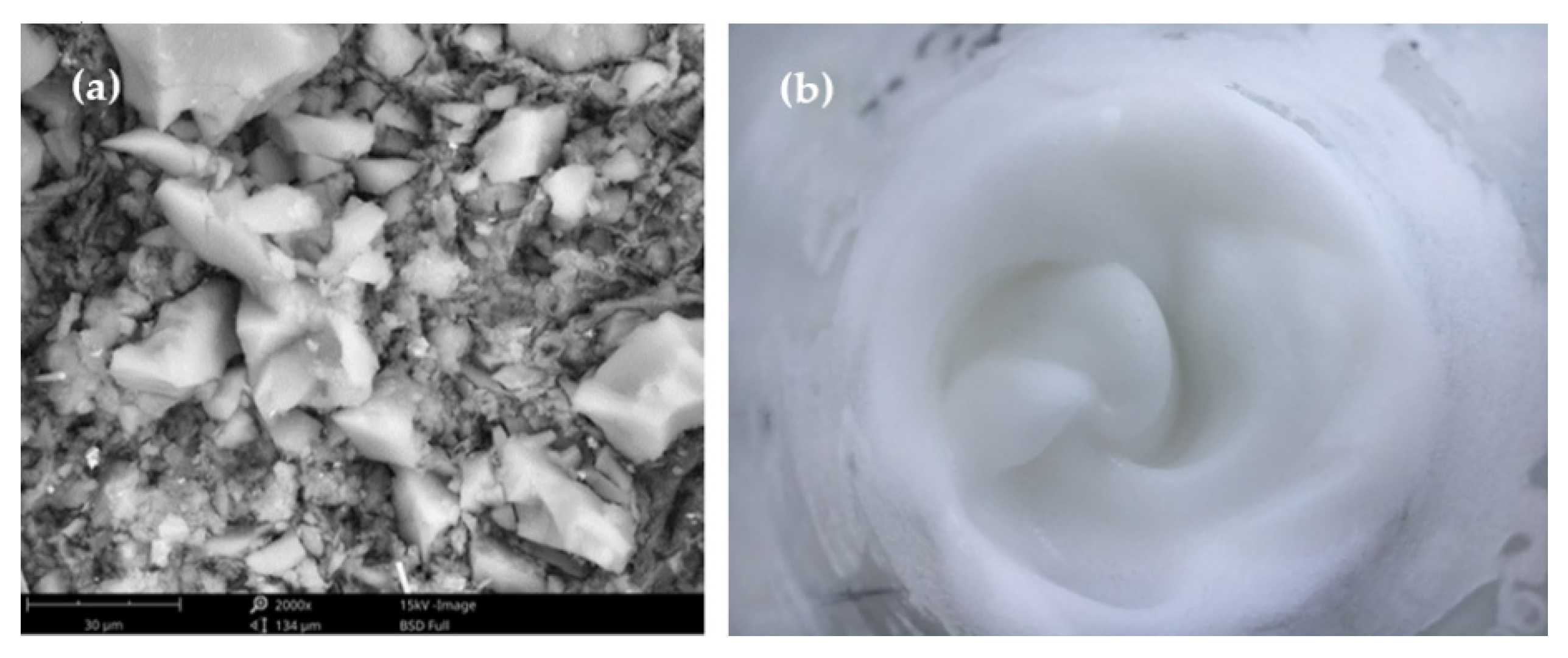 Coatings 12 01421 g001