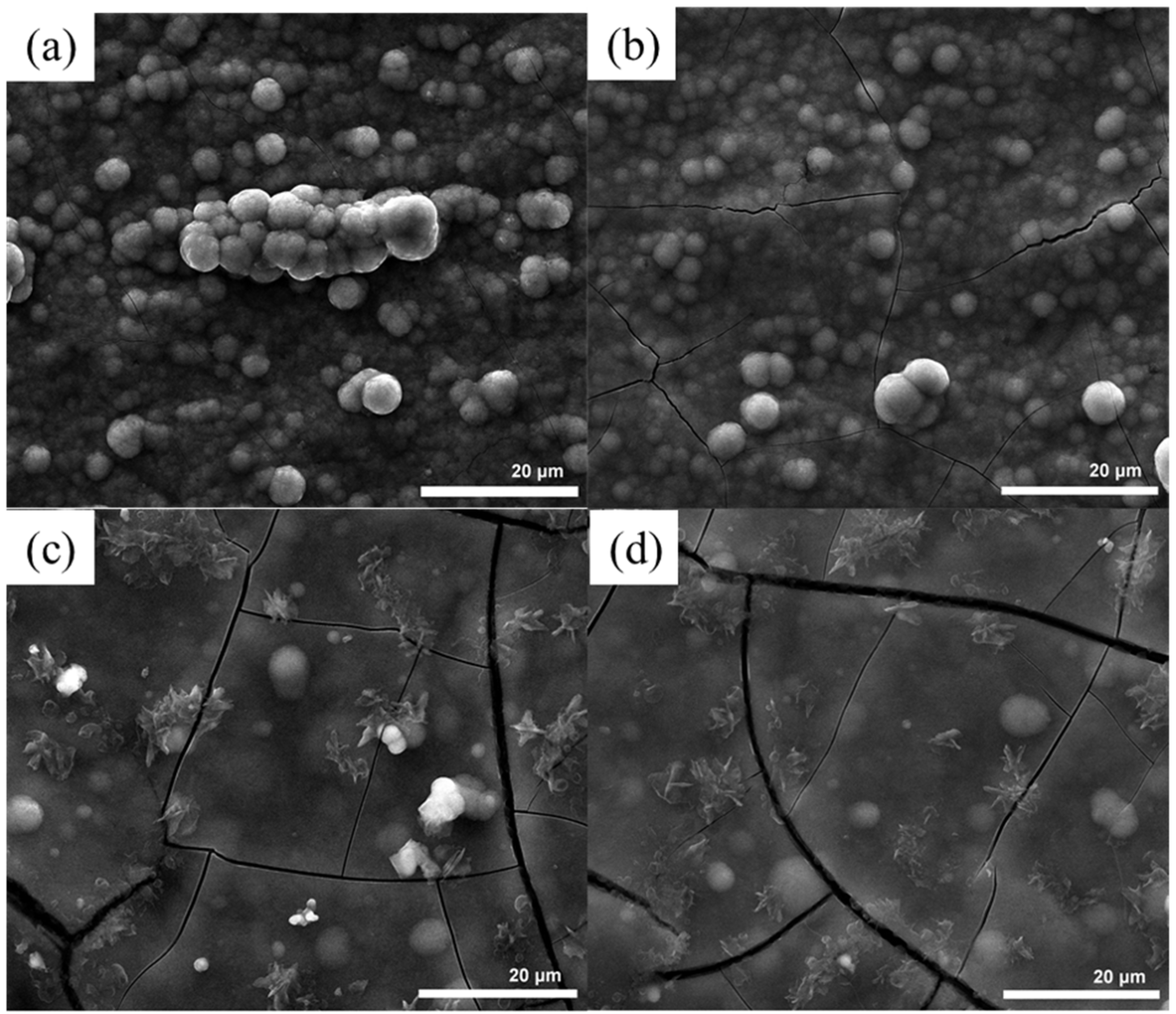 Coatings 12 01428 g006 Coatings 12 01428 g006