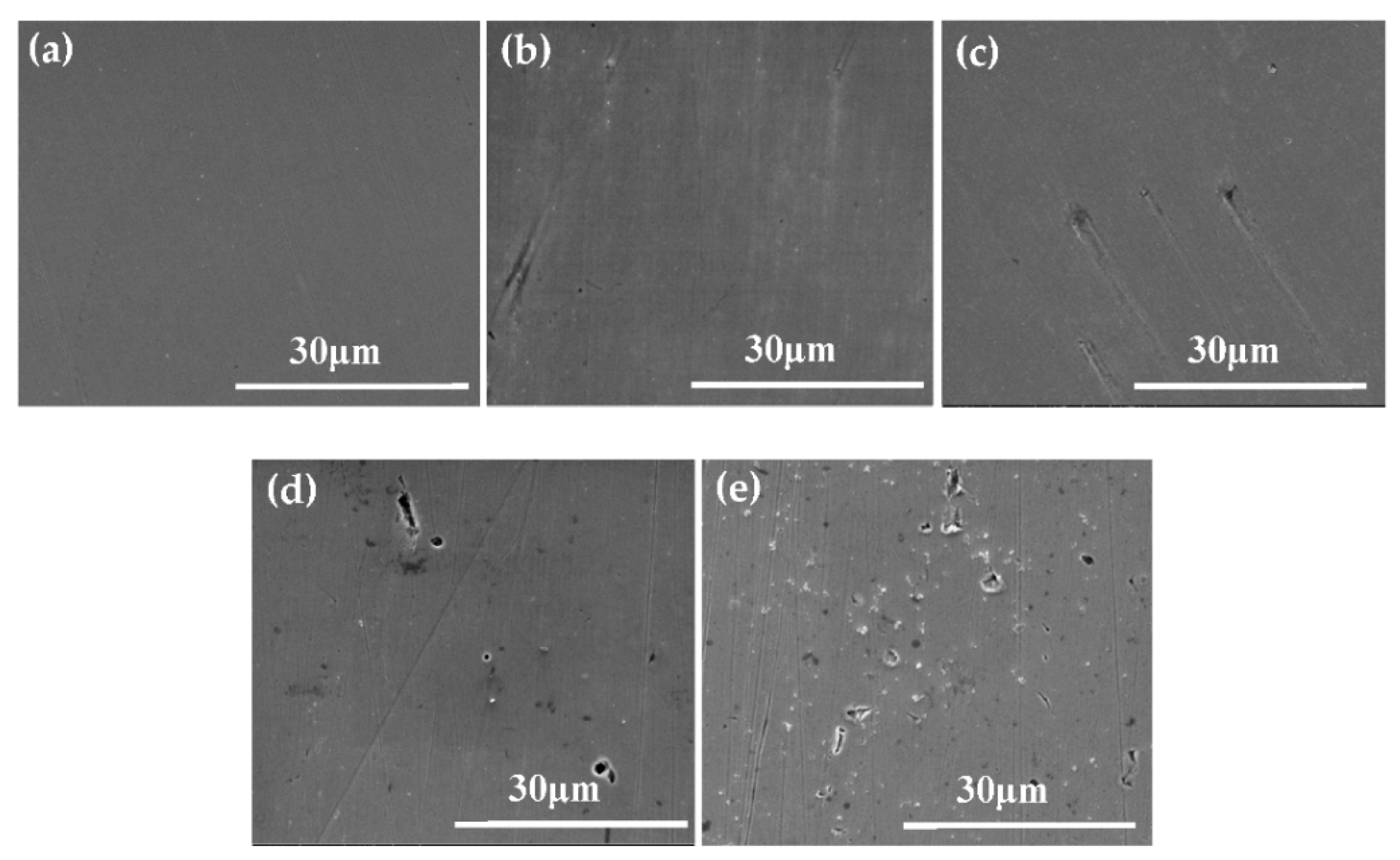 Coatings 12 01430 g010