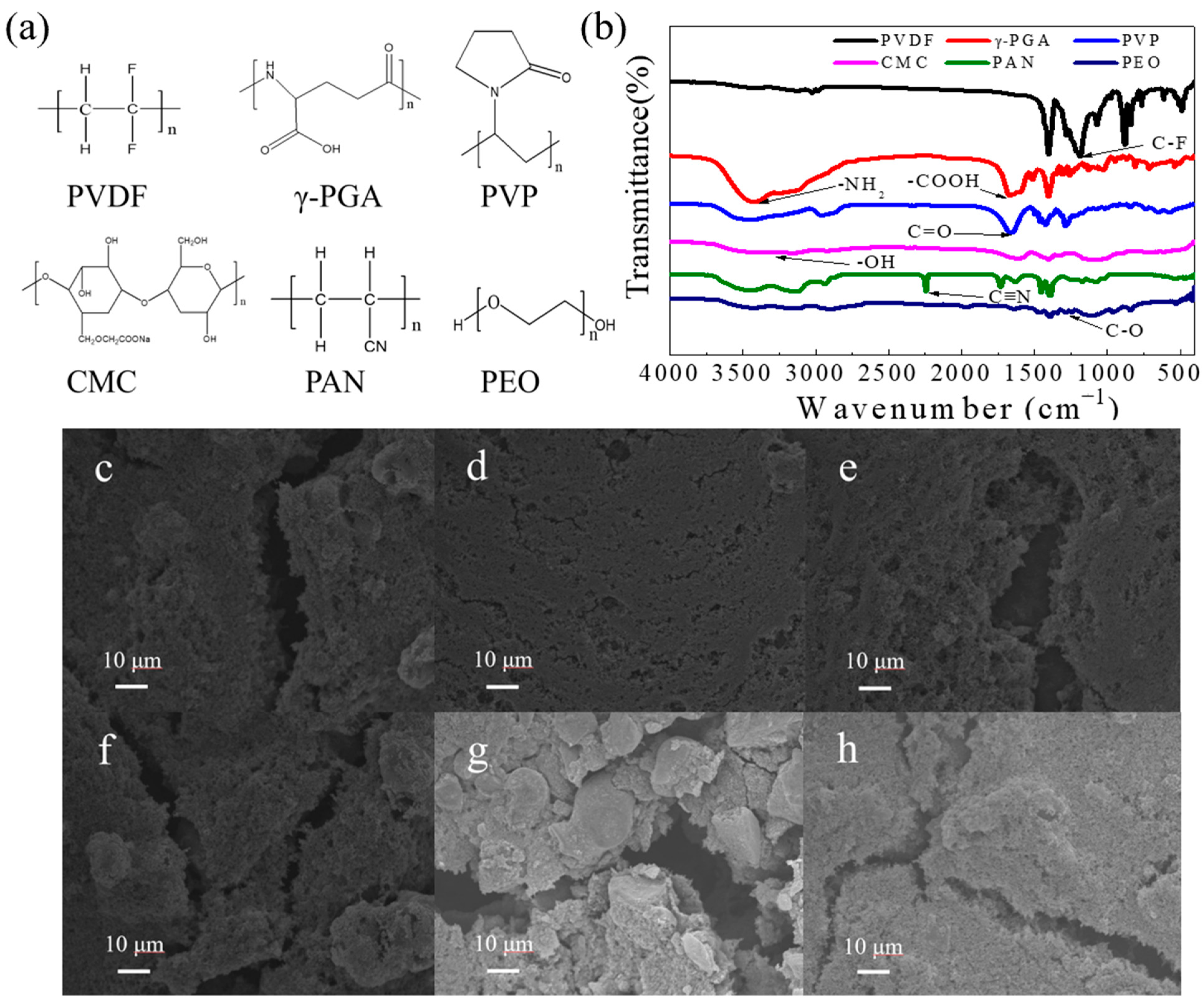 Coatings 12 01433 g001 550