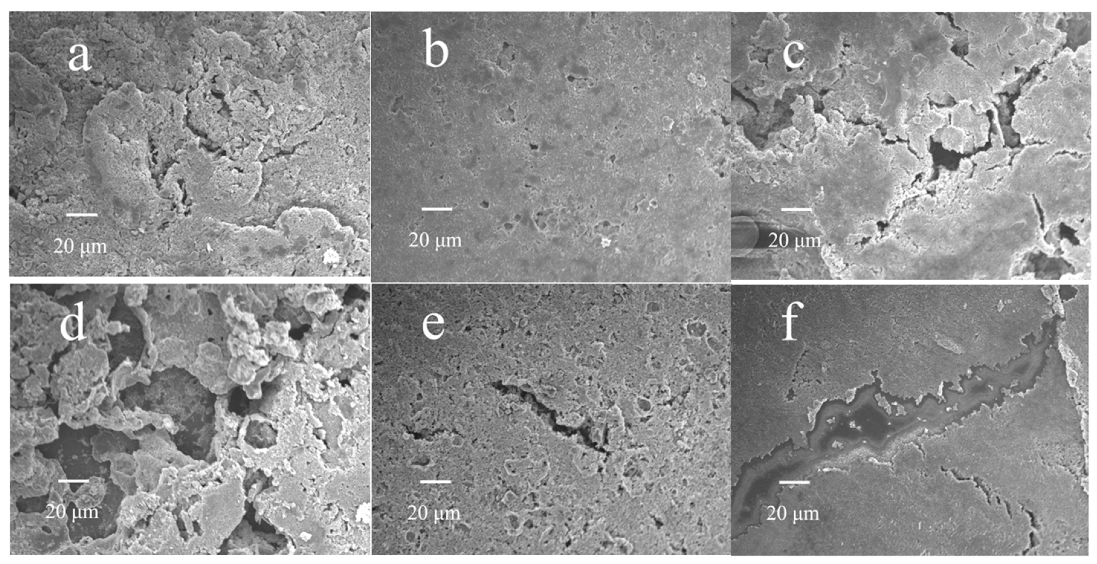 Coatings 12 01433 g006 550