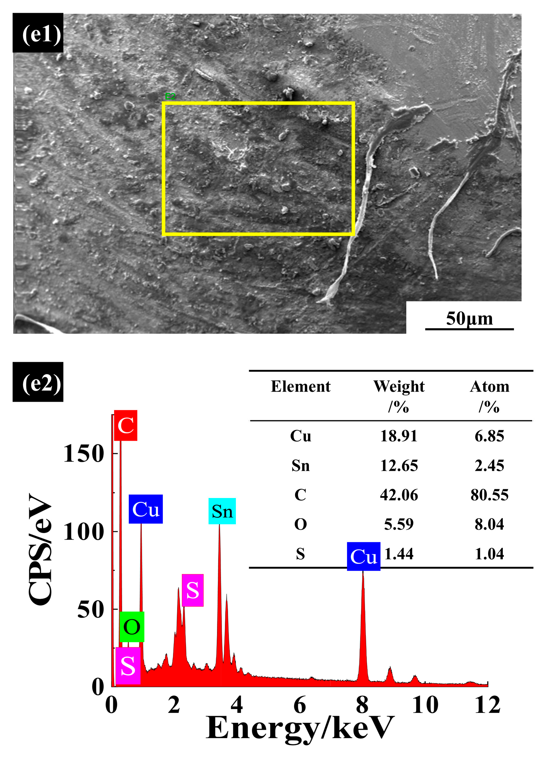 Coatings 12 01436 g007b 550