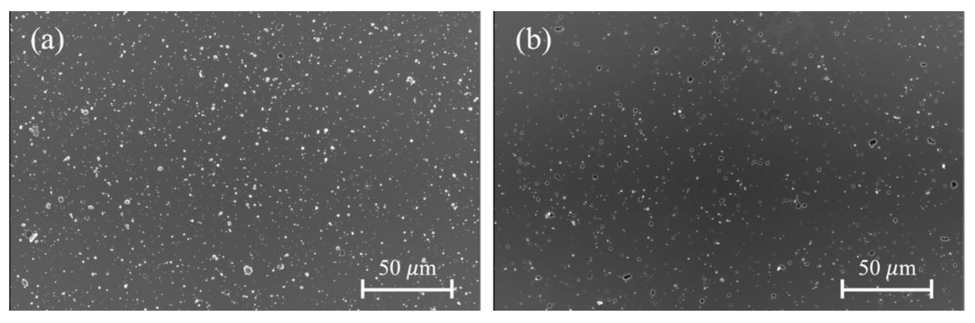 Coatings 12 01437 g007 Coatings 12 01437 g007