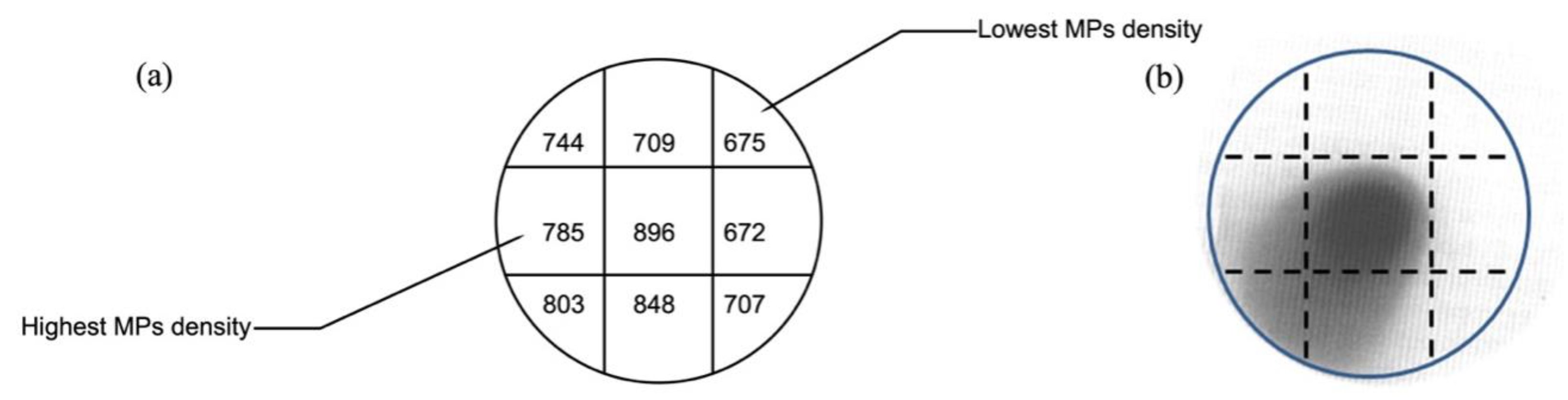 Coatings 12 01437 g008 Coatings 12 01437 g008