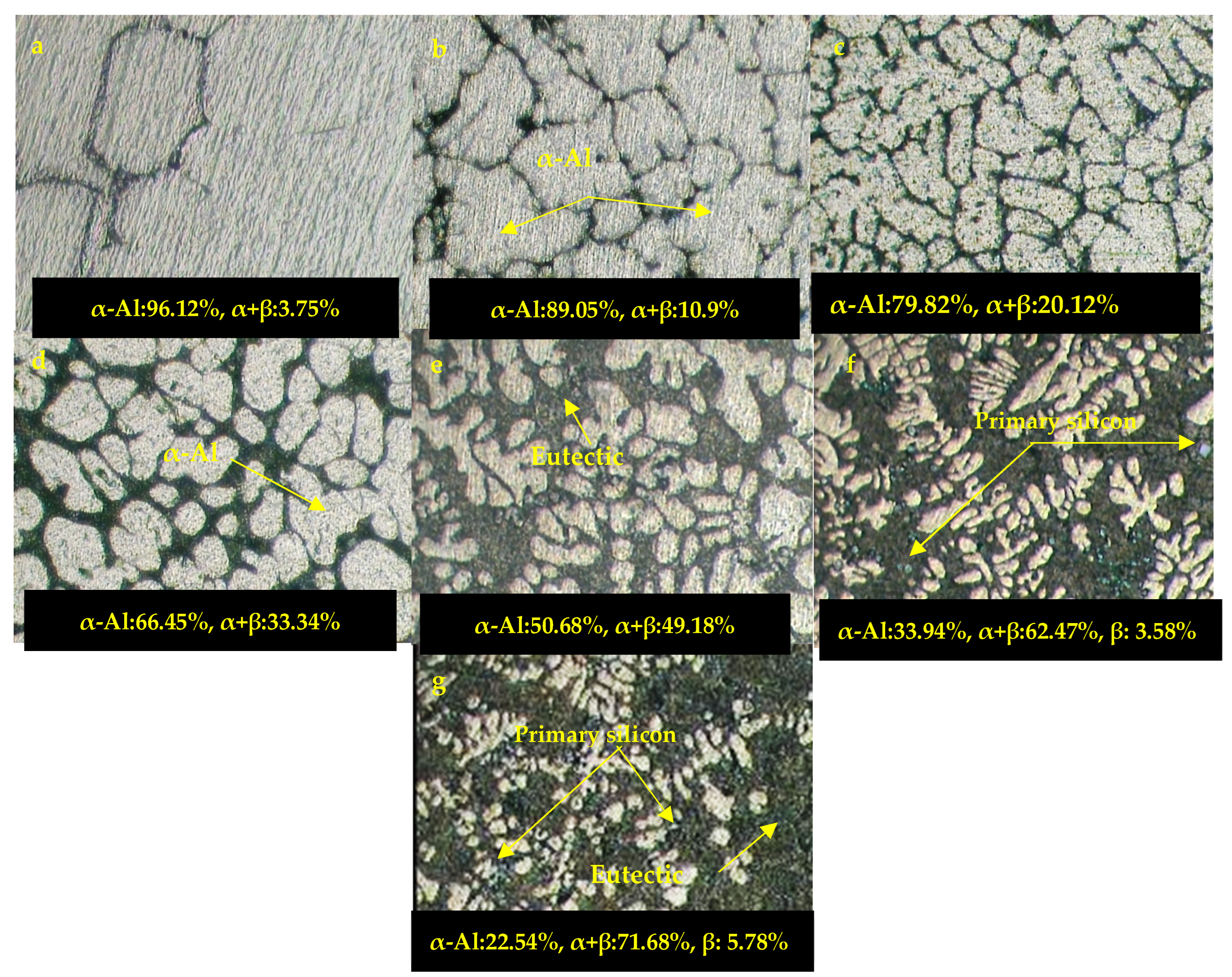 Coatings 12 01438 g001