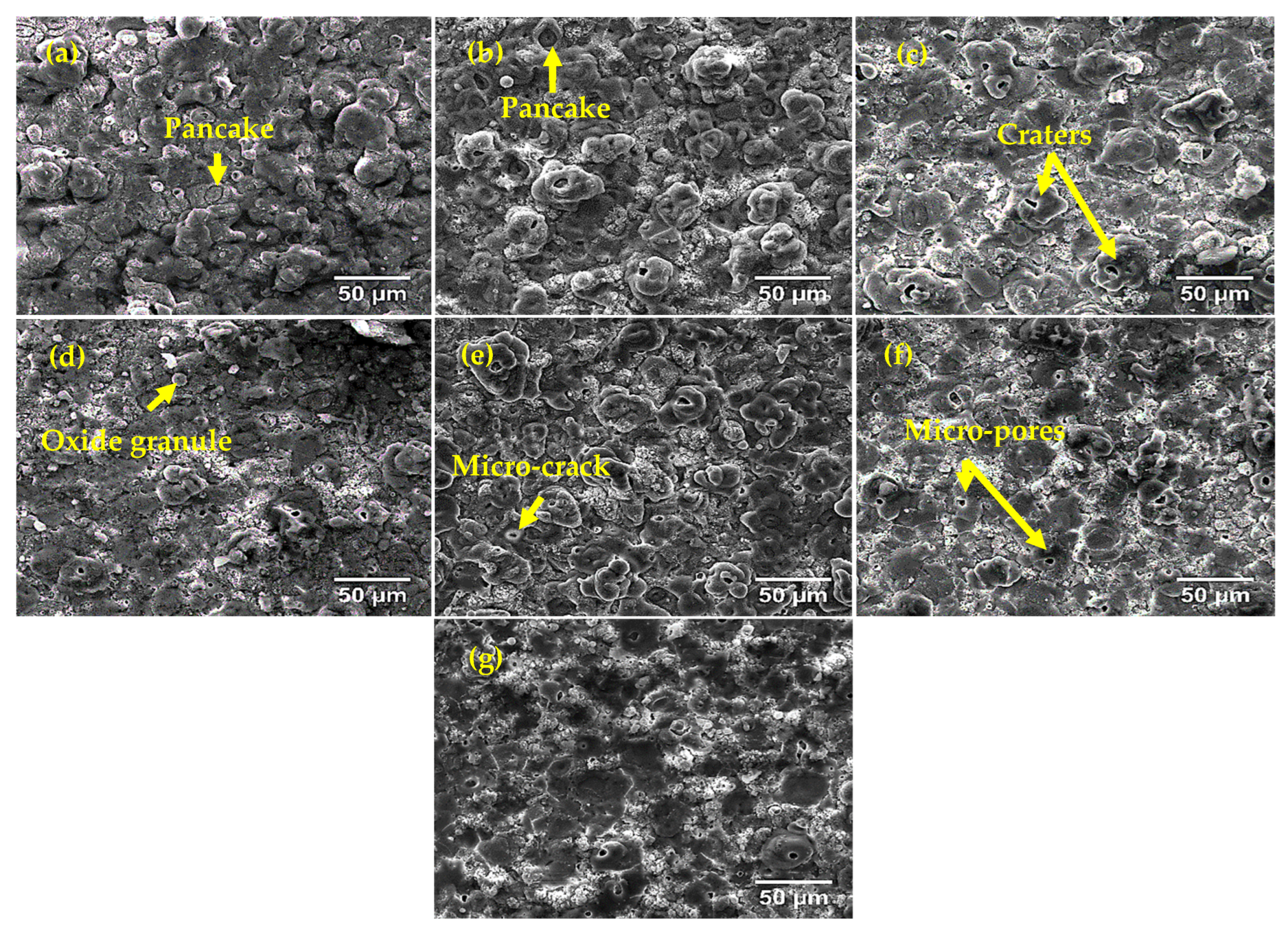 Coatings 12 01438 g004