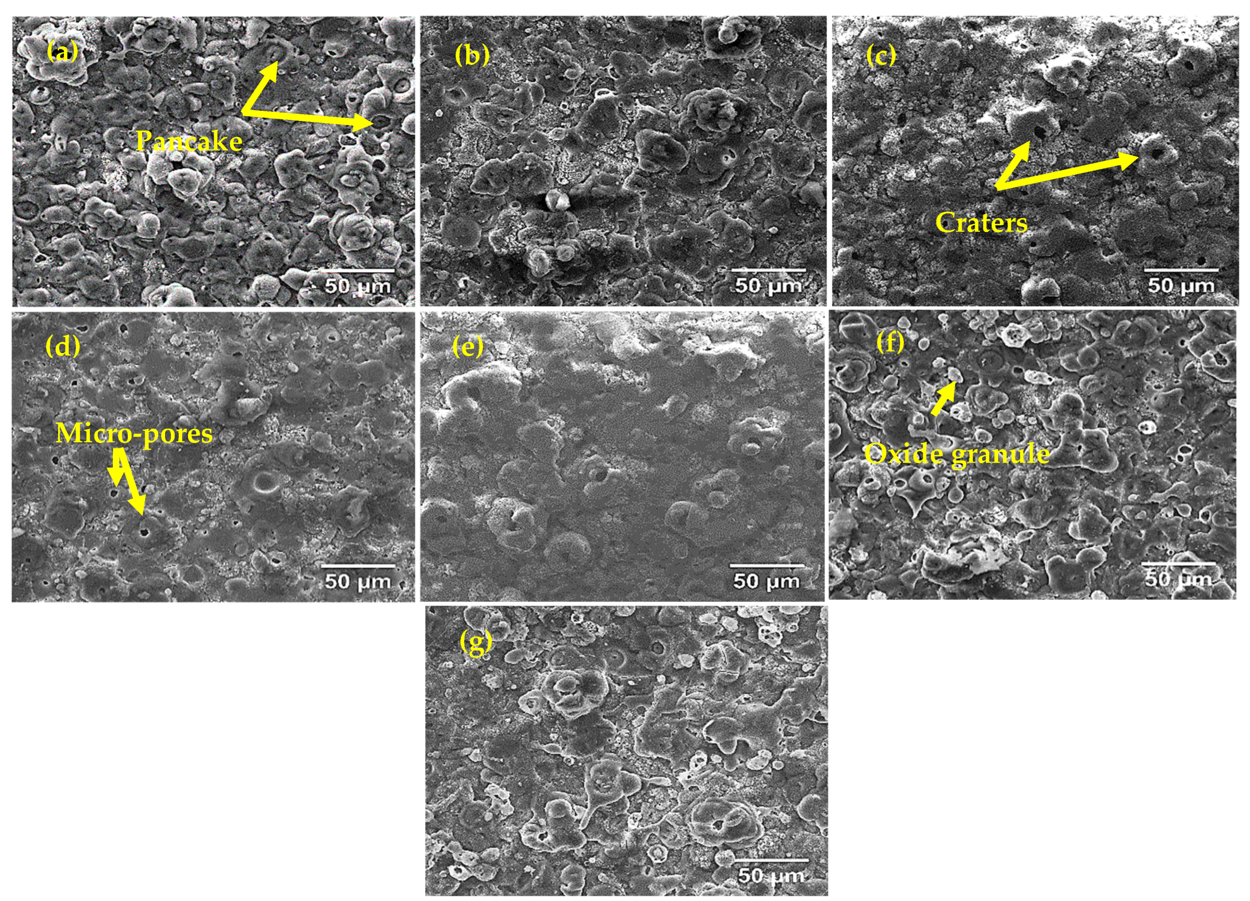 Coatings 12 01438 g005