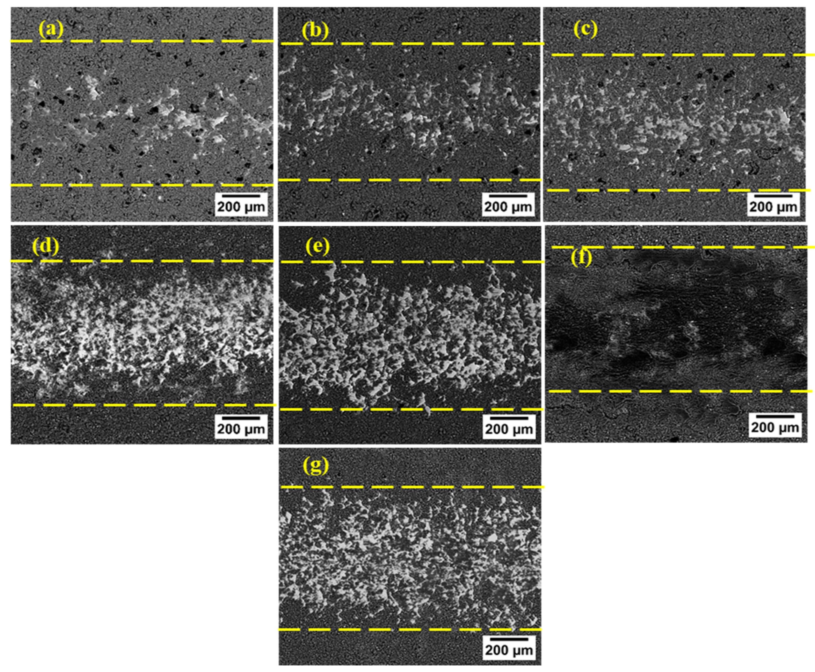Coatings 12 01438 g015