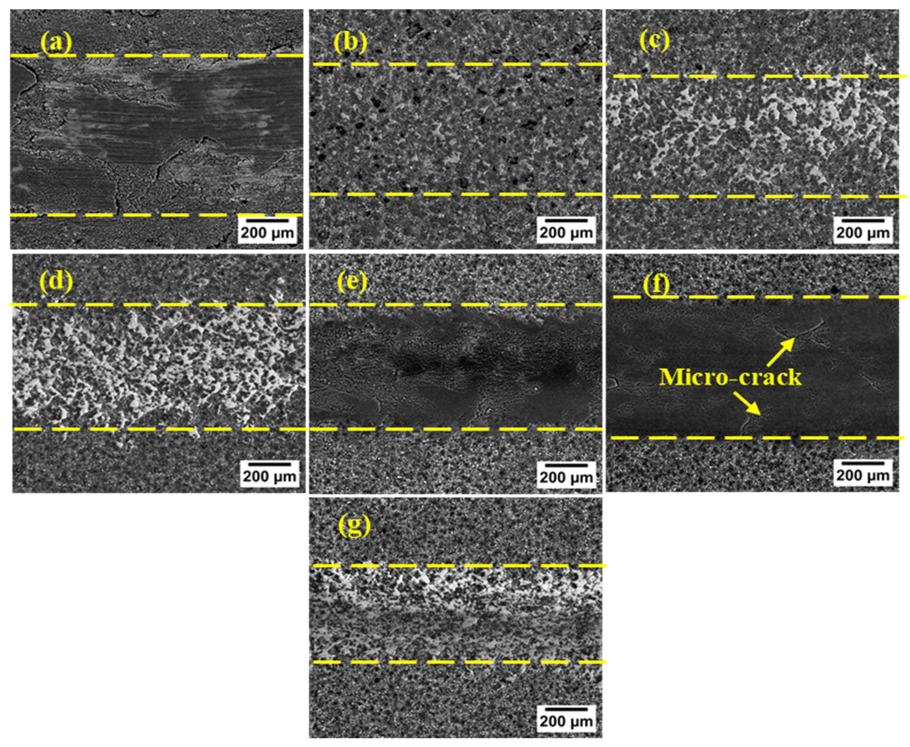 Coatings 12 01438 g016