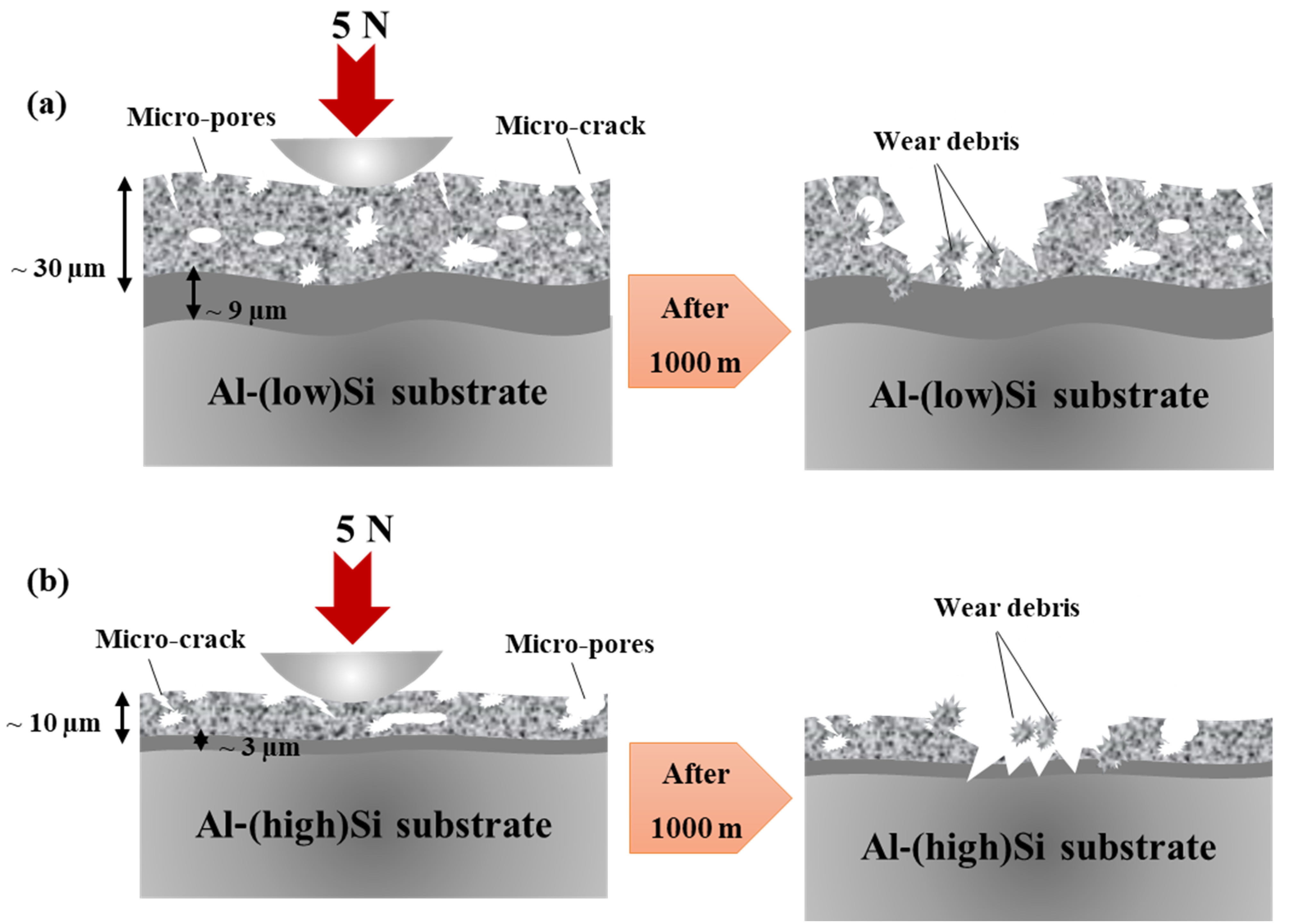 Coatings 12 01438 g017