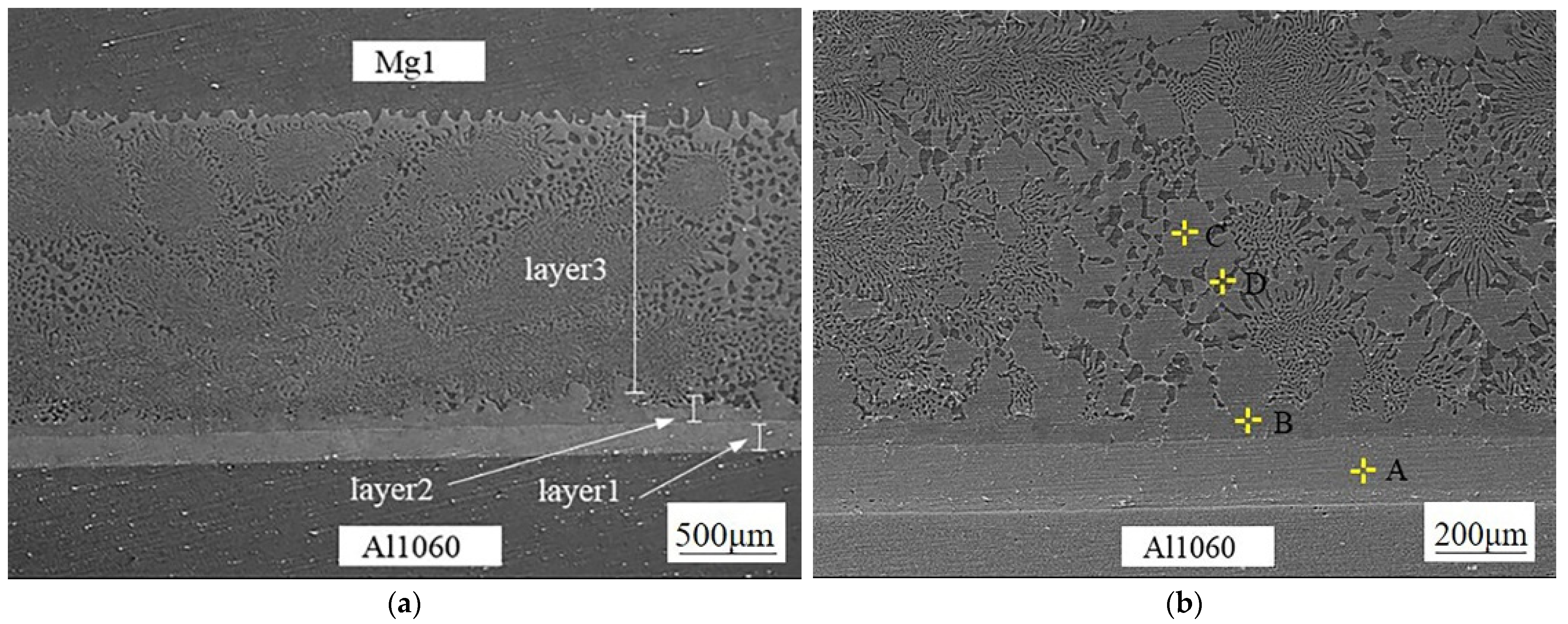 Coatings 12 01439 g002 550