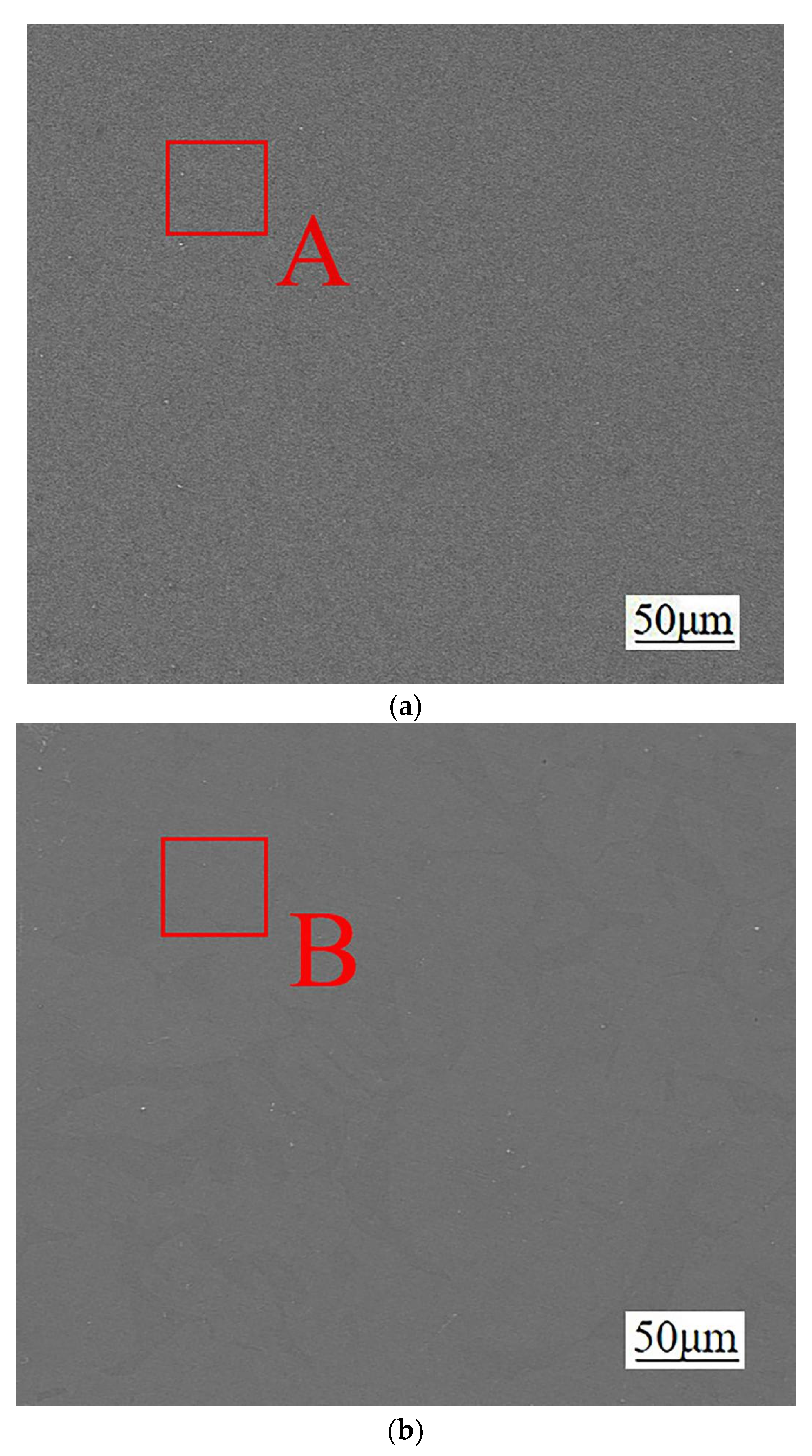 Coatings 12 01439 g005a 550
