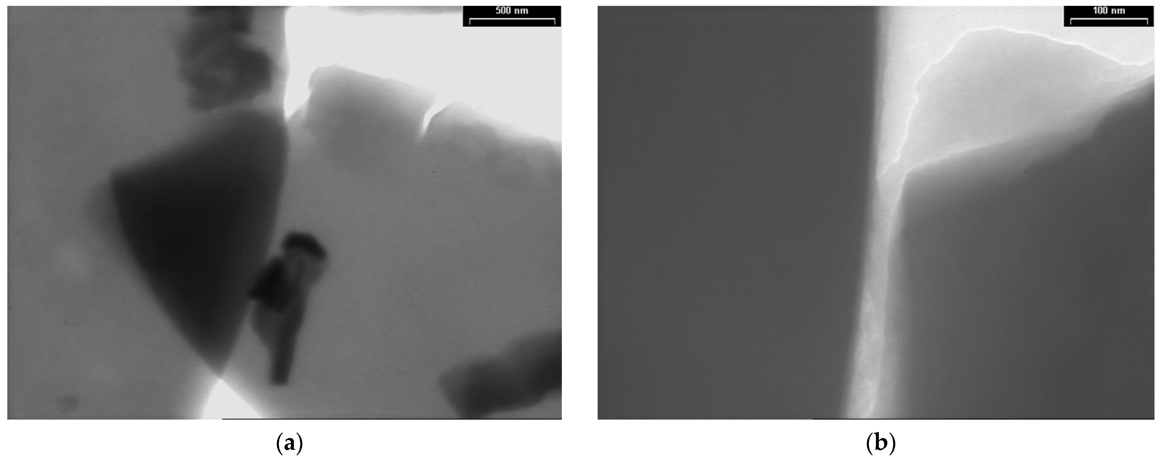 Coatings 12 01441 g004