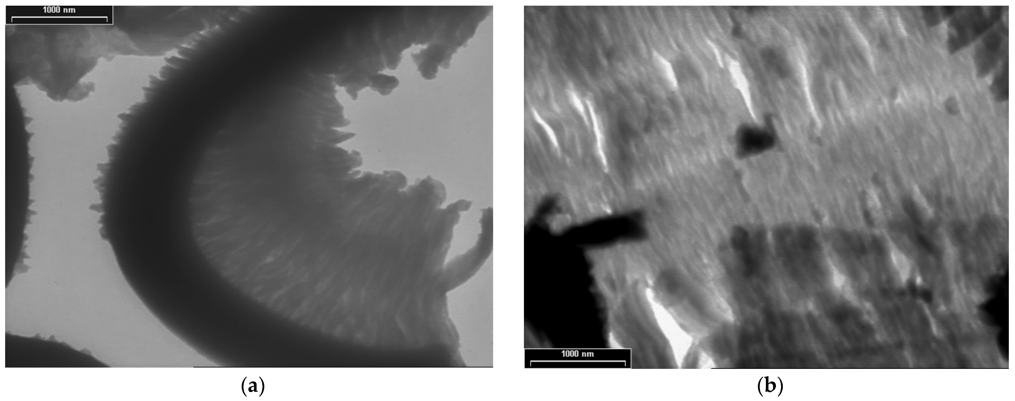 Coatings 12 01441 g005a
