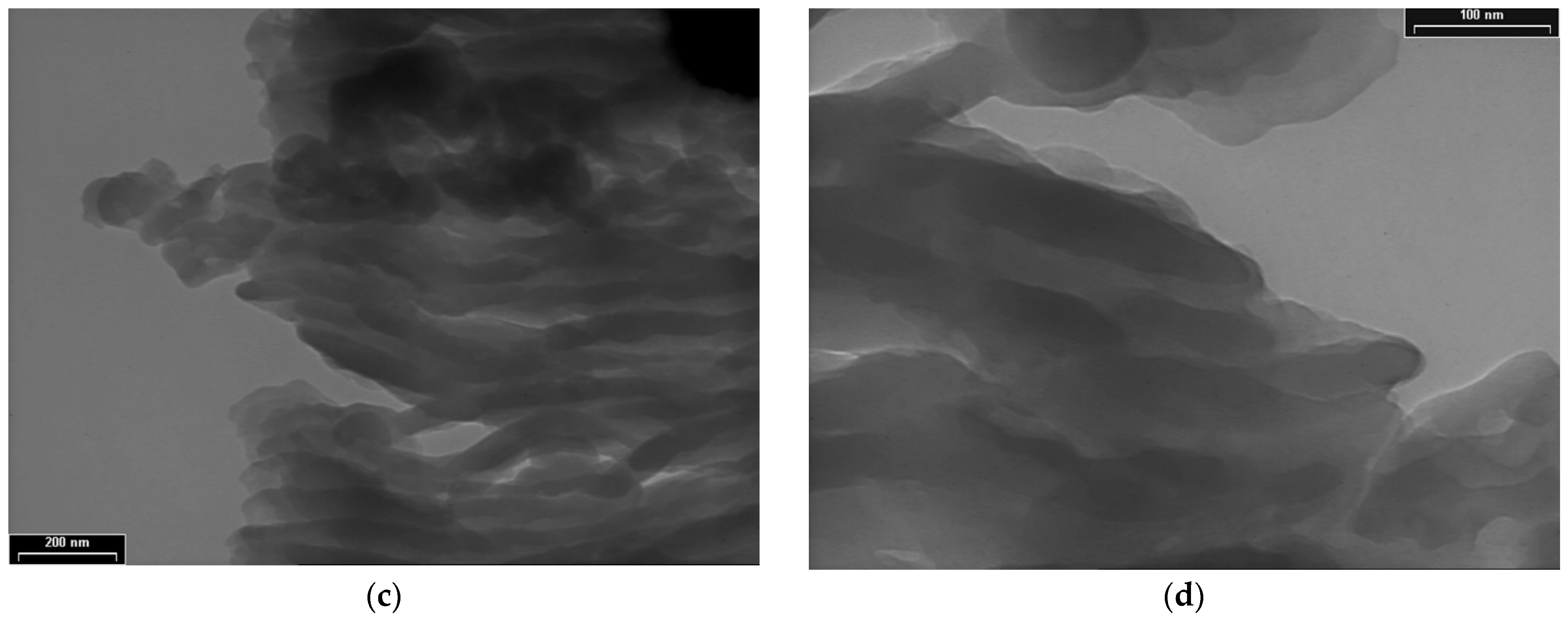 Coatings 12 01441 g005b