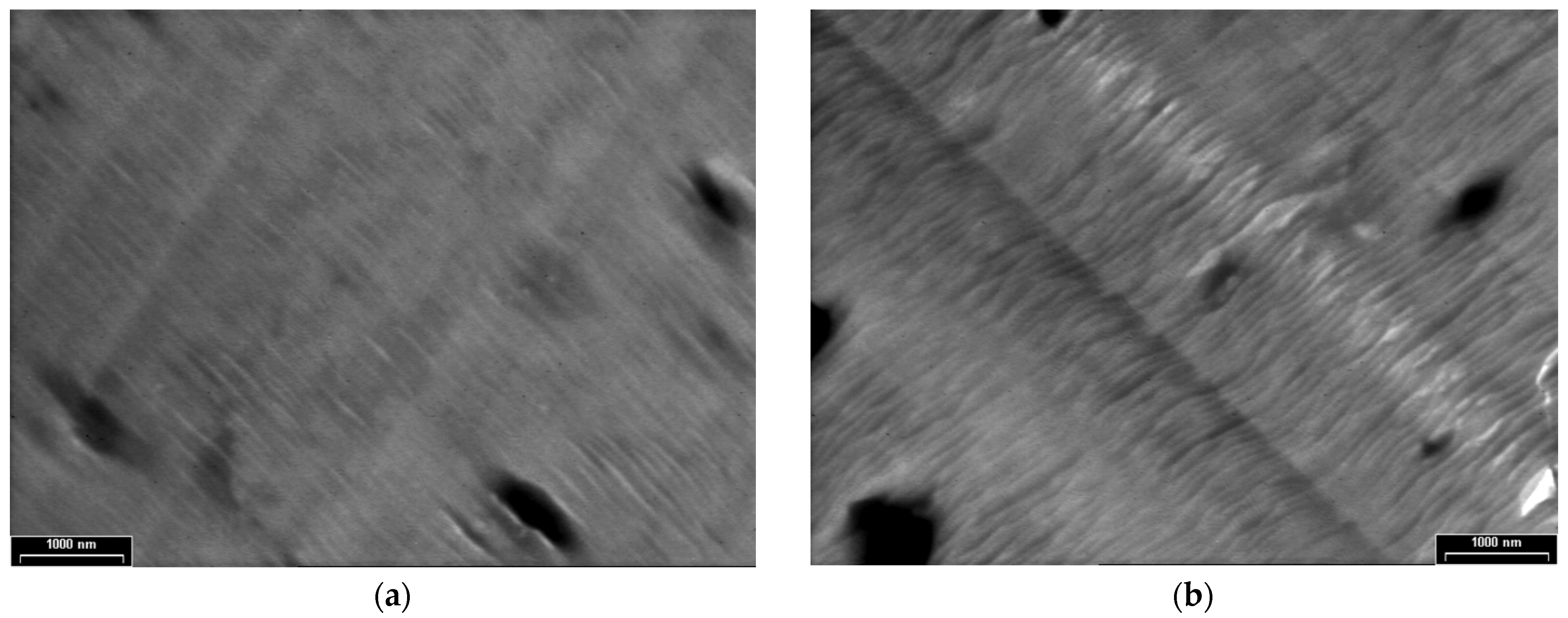 Coatings 12 01441 g006a