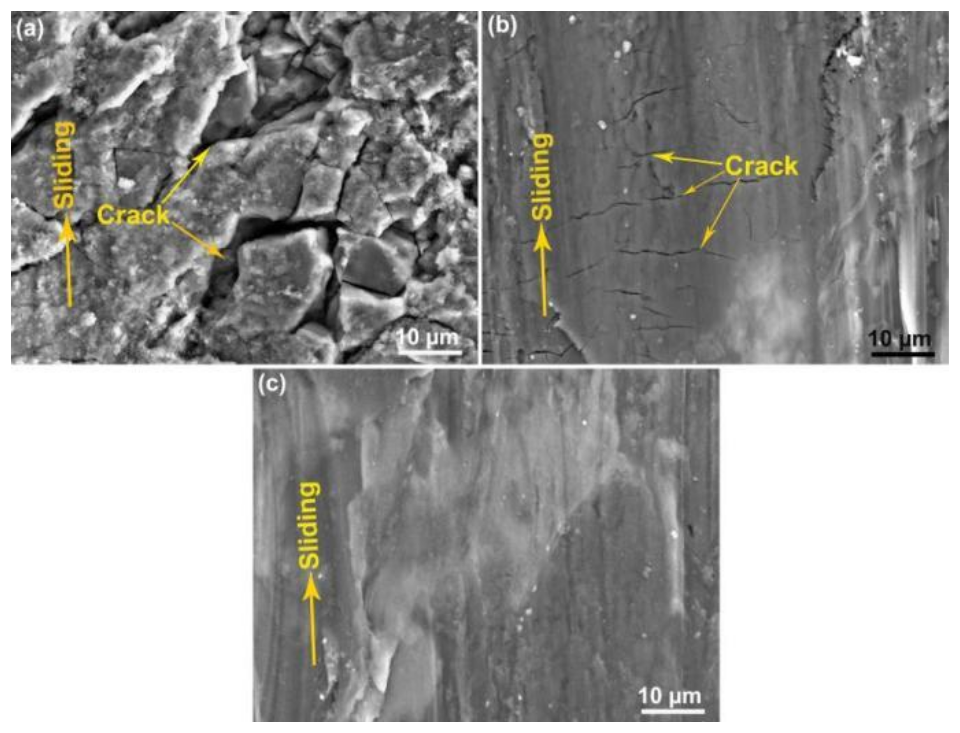 Coatings 12 01443 g008 Coatings 12 01443 g008